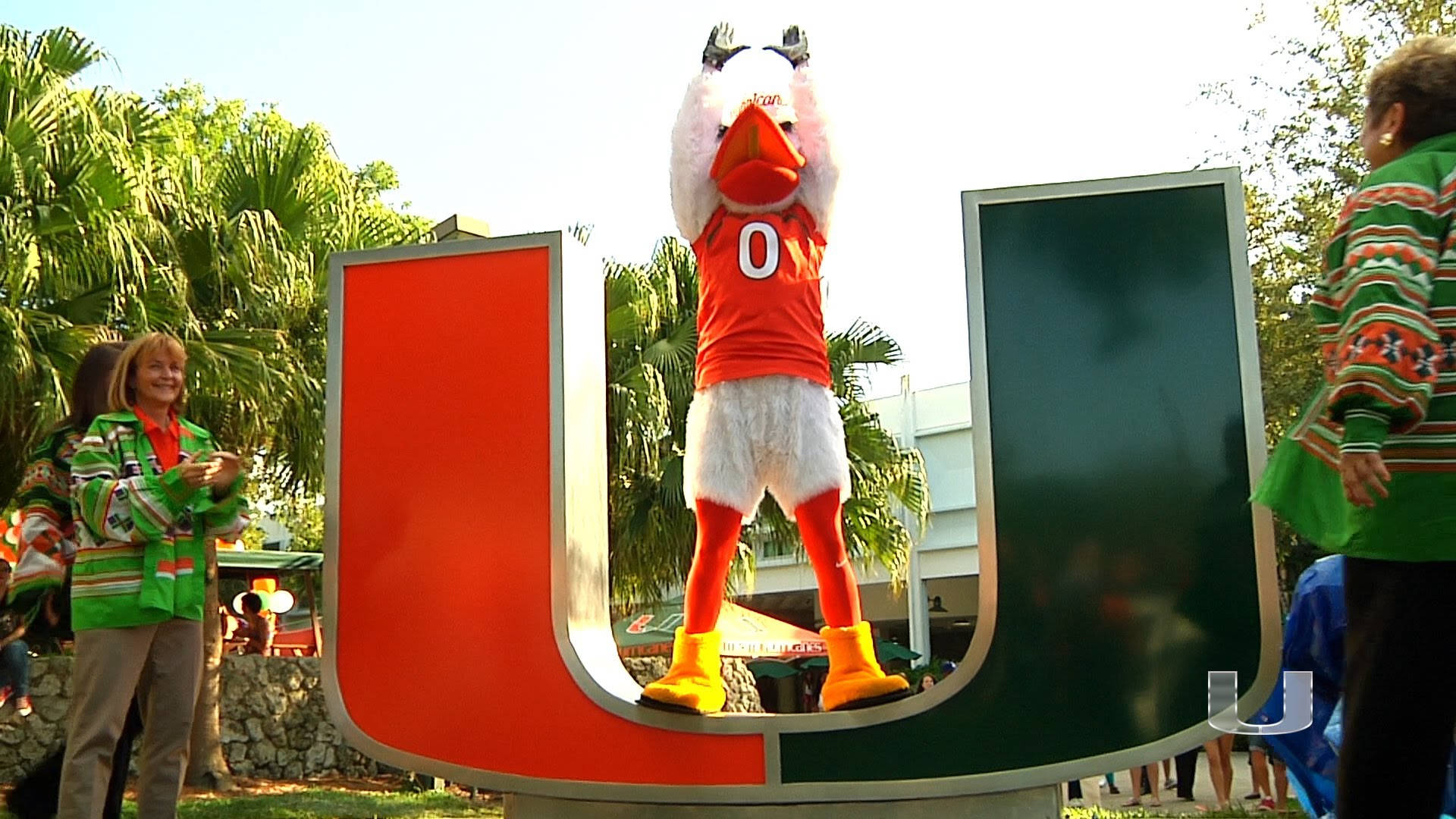 University Of Miami 桌布