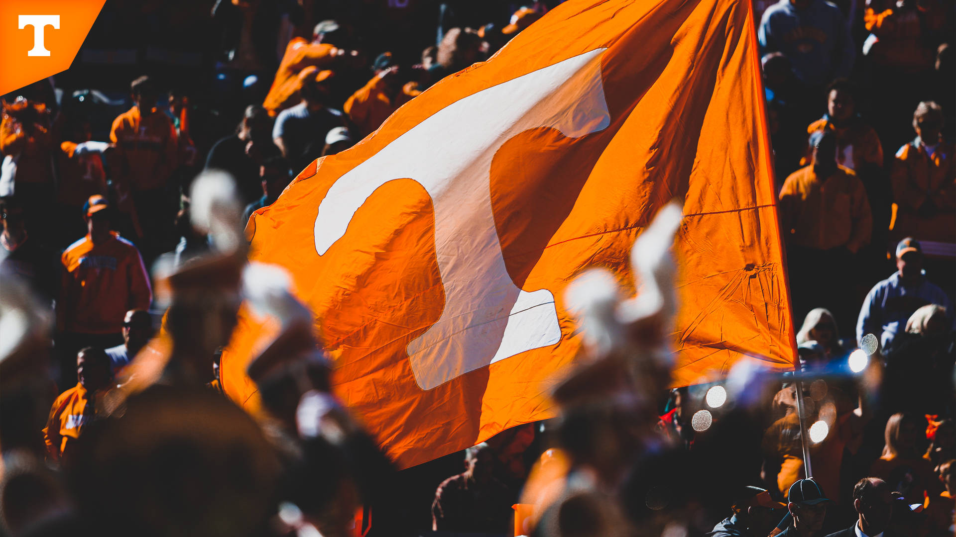 University Of Tennessee 桌布