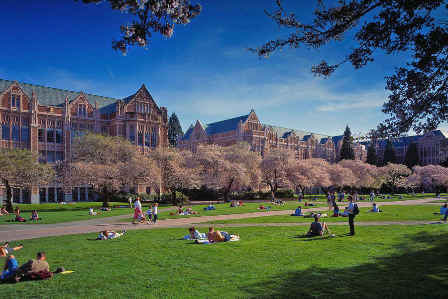 University Of Washington 桌布