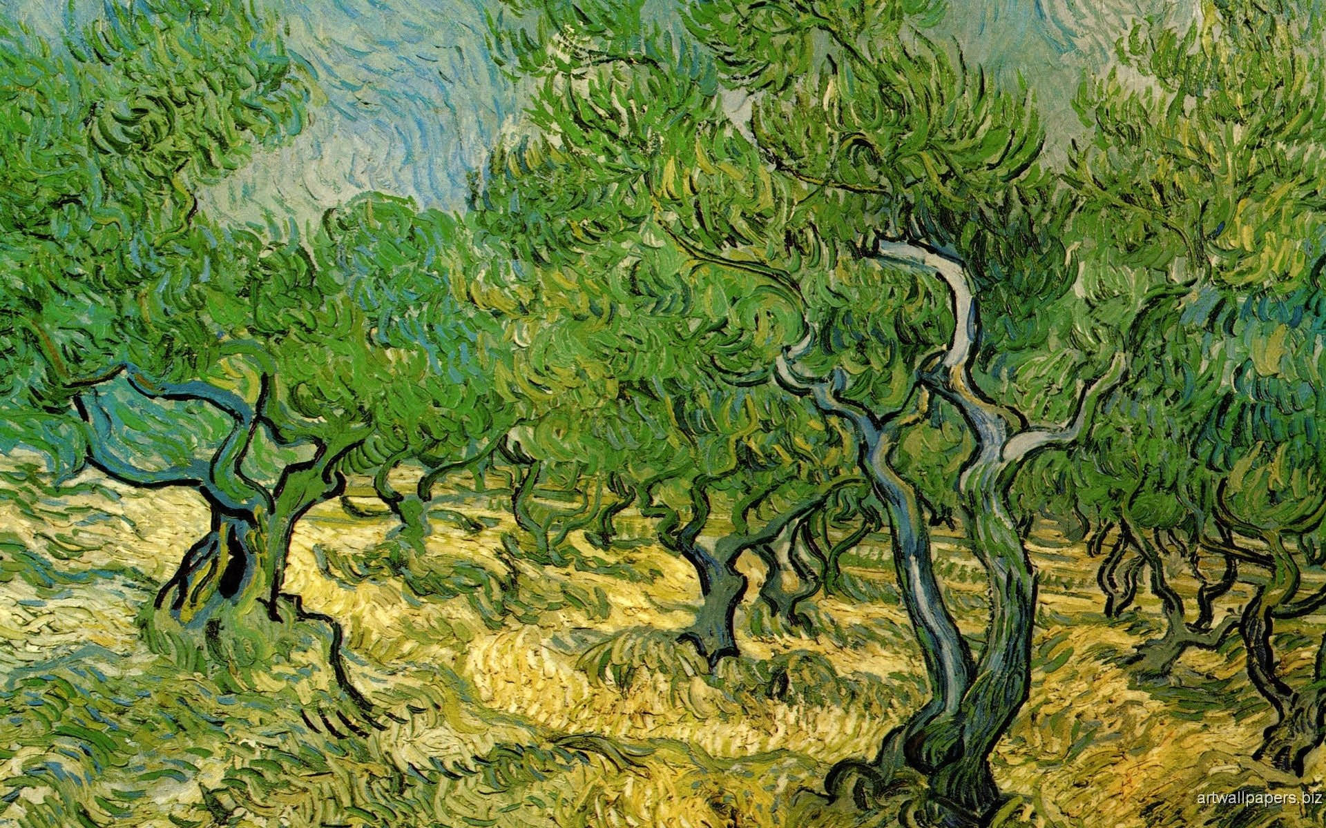 Vincent 桌布