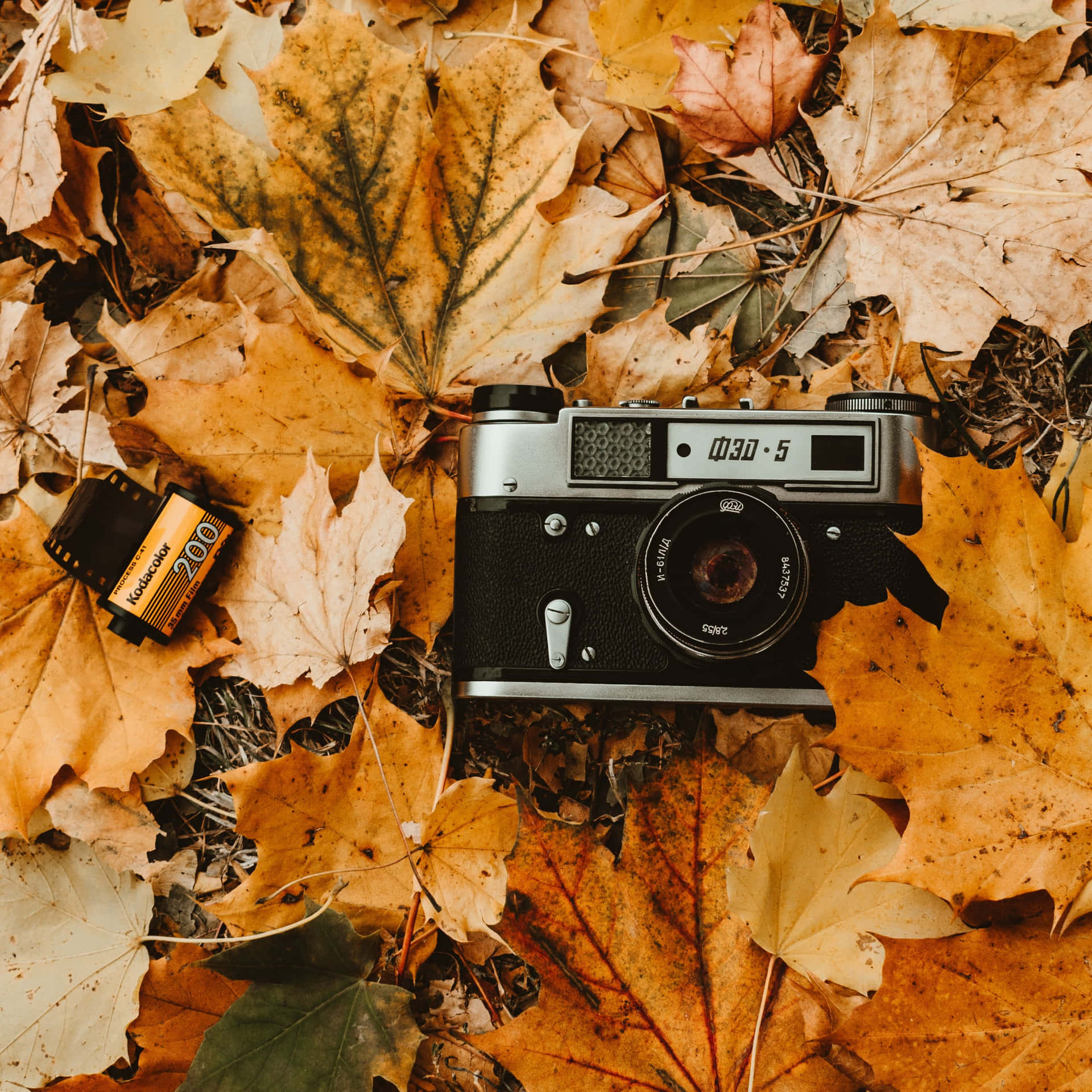Vintage Autumn 桌布