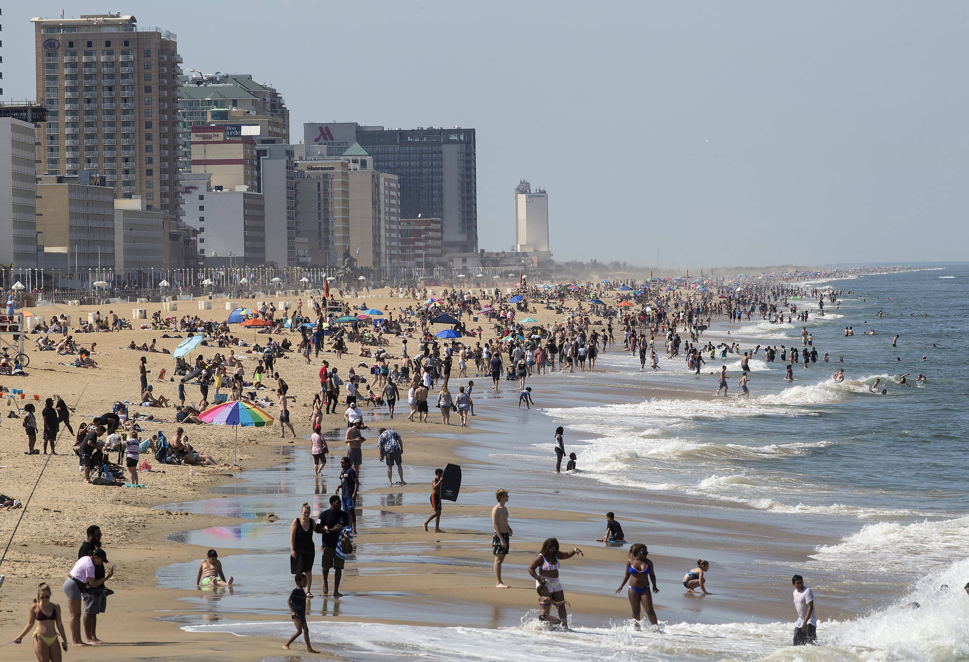 Virginia Beach 桌布