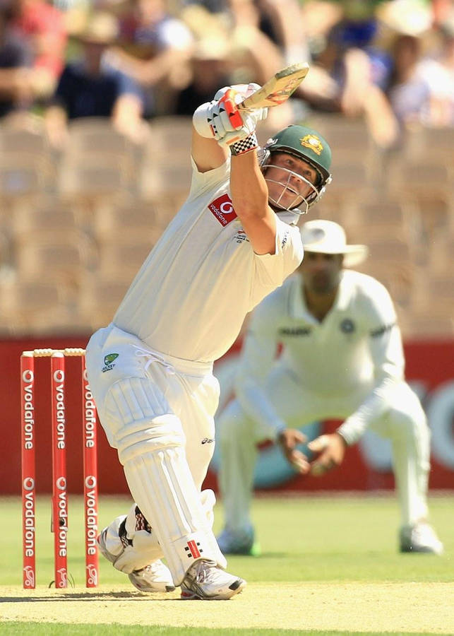 david warner