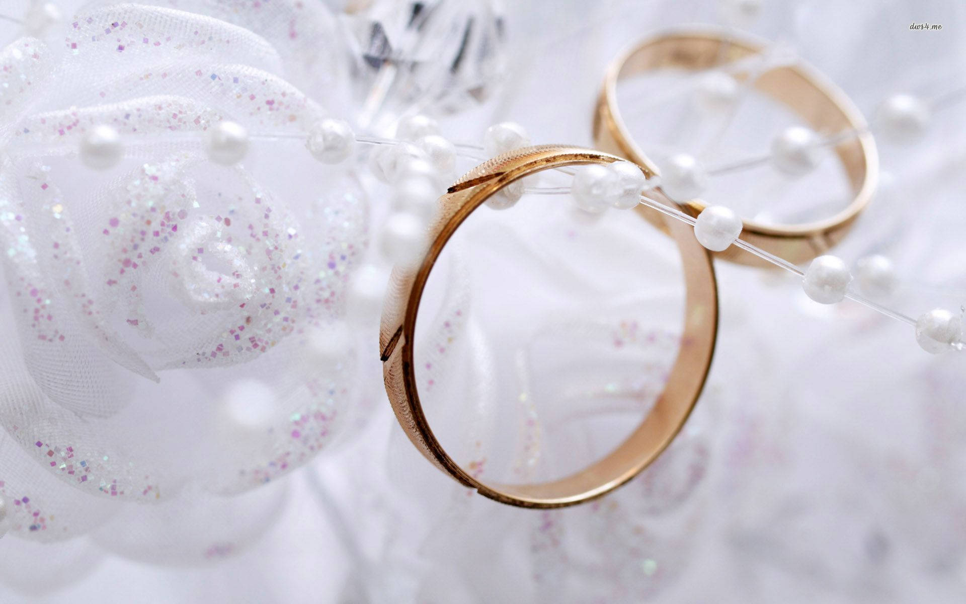 1920x1200 Wedding Rings wallpaper - Photography wallpaper