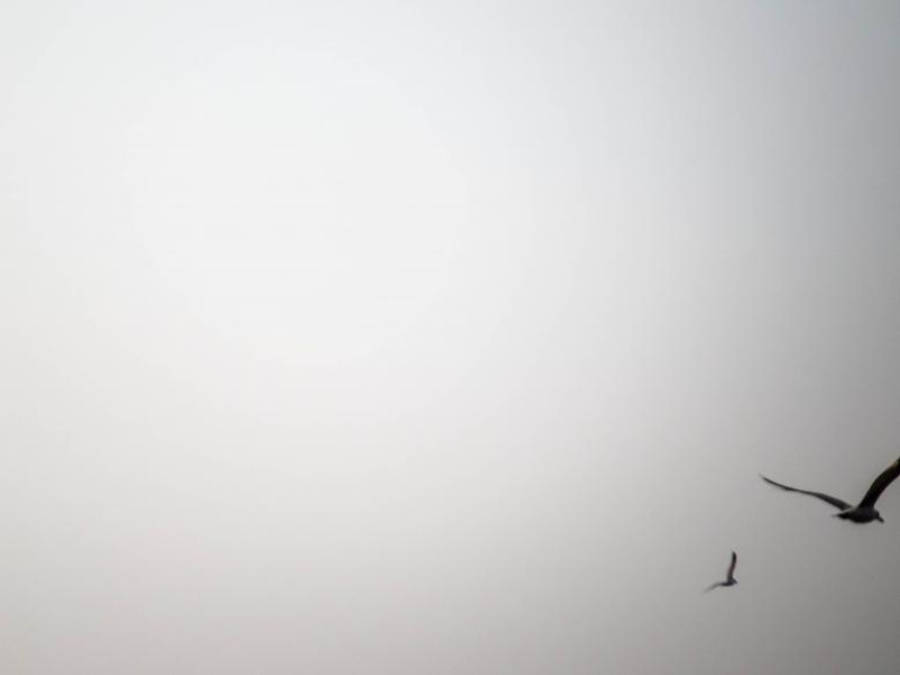 Free Stock Photo of Peaceful background