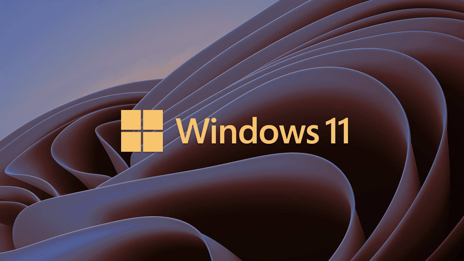 Windows 11 Logo 桌布