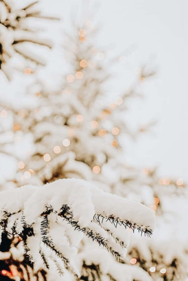 Winter Aesthetic Phone 桌布