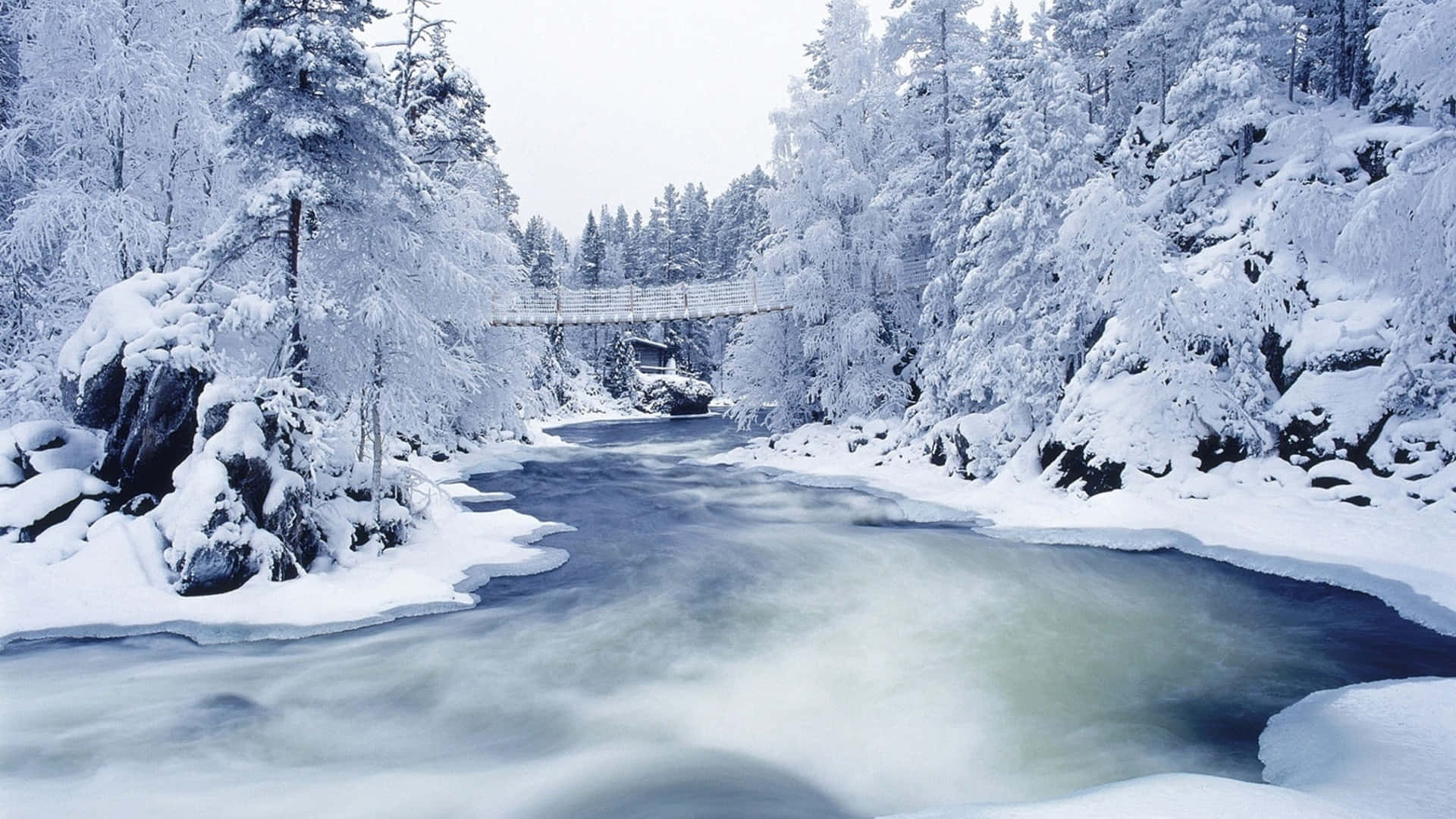 Winter Christmas Desktop 桌布