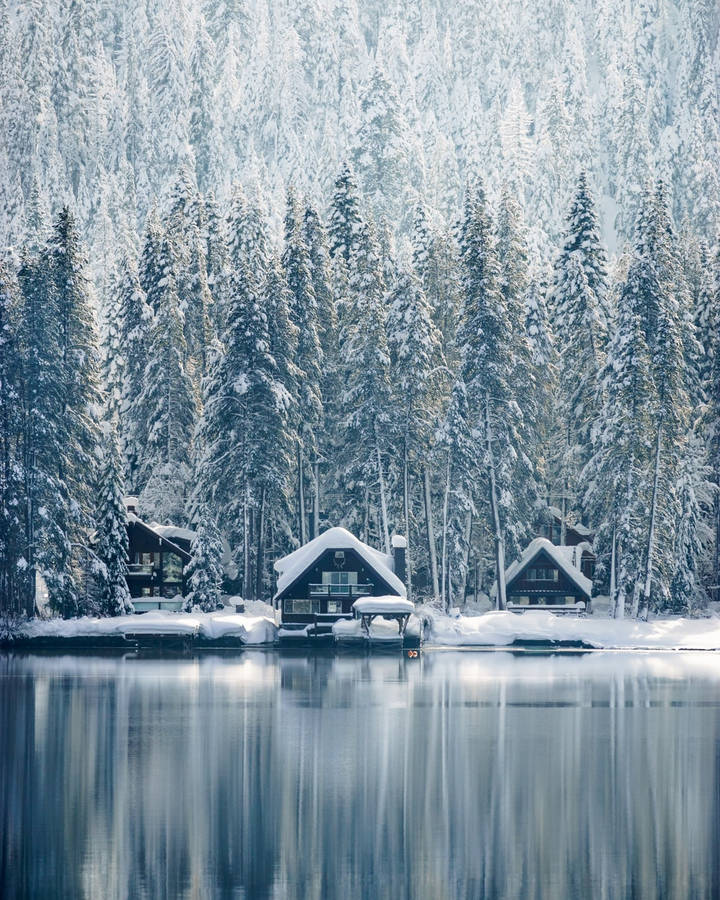 Winter House 桌布