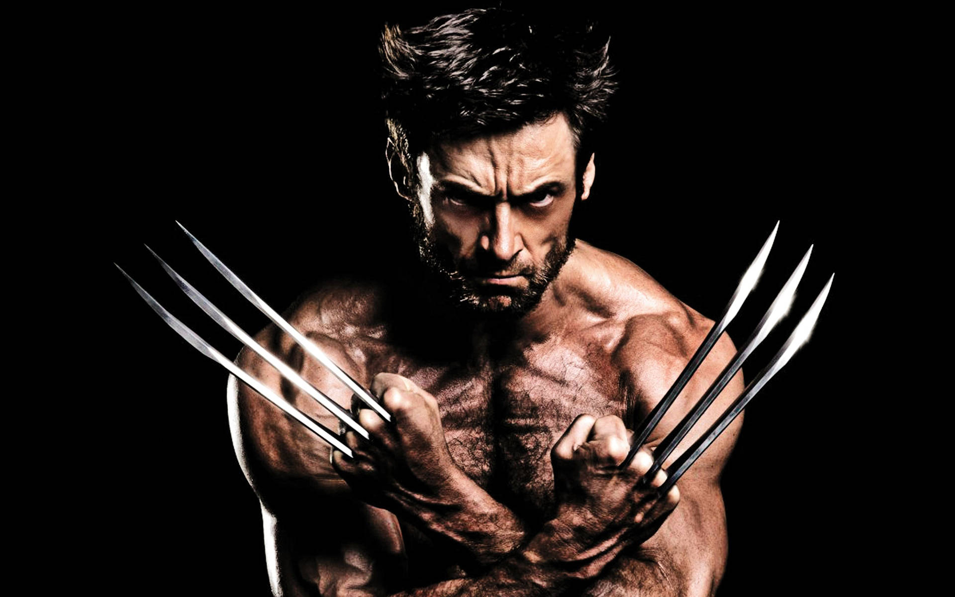 2880x1800 The Wolverine Wallpaper