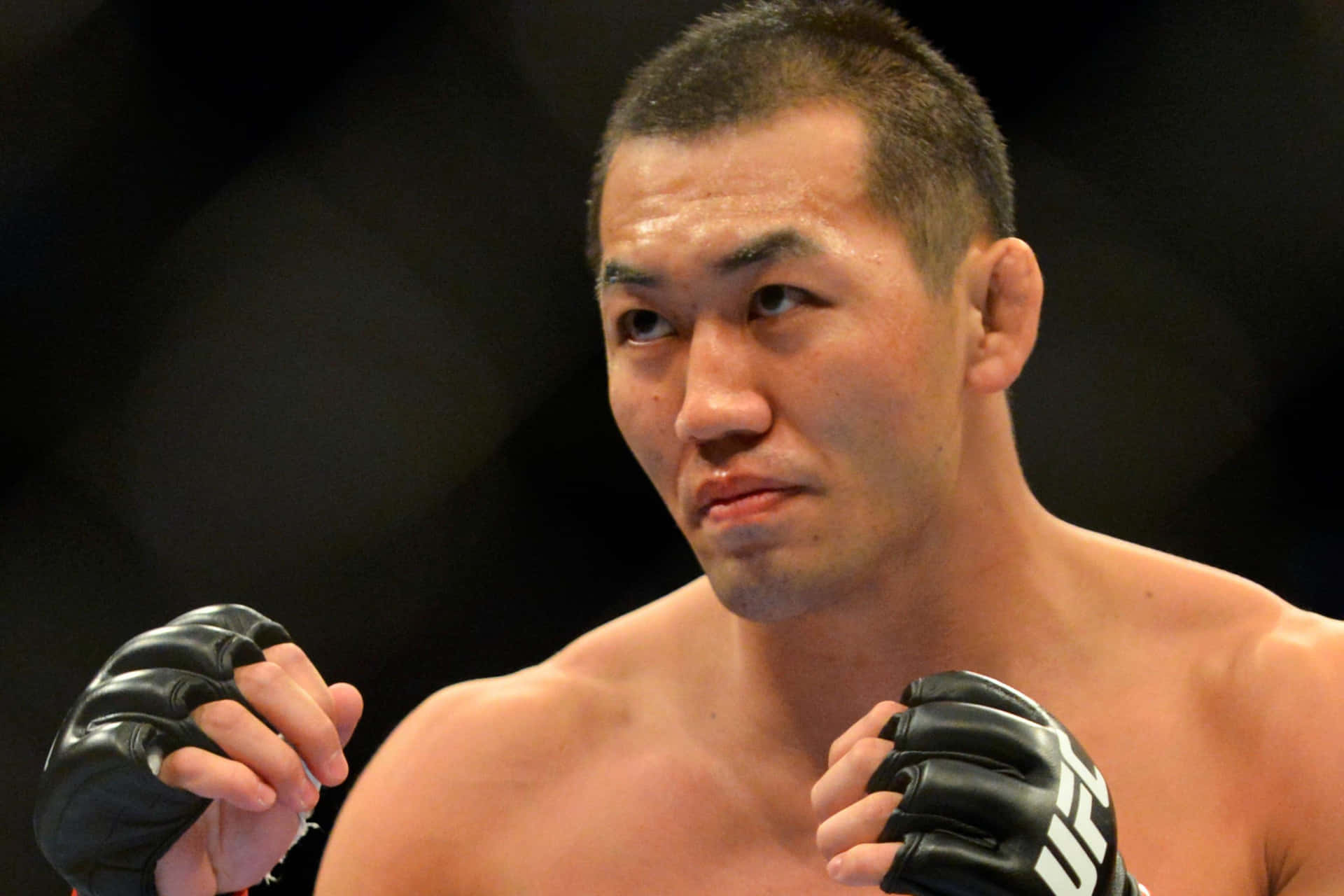 Yushin Okami 桌布