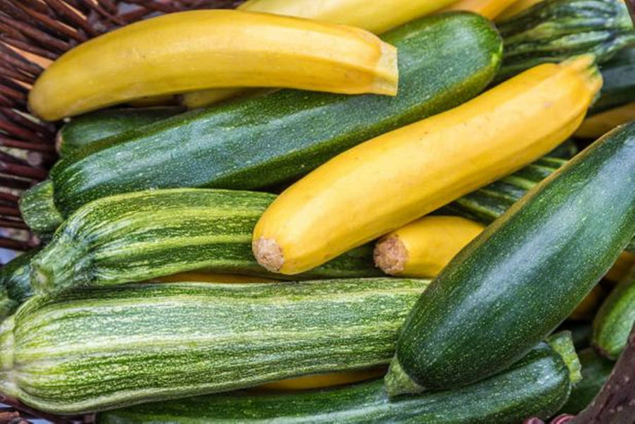 Zucchini 桌布
