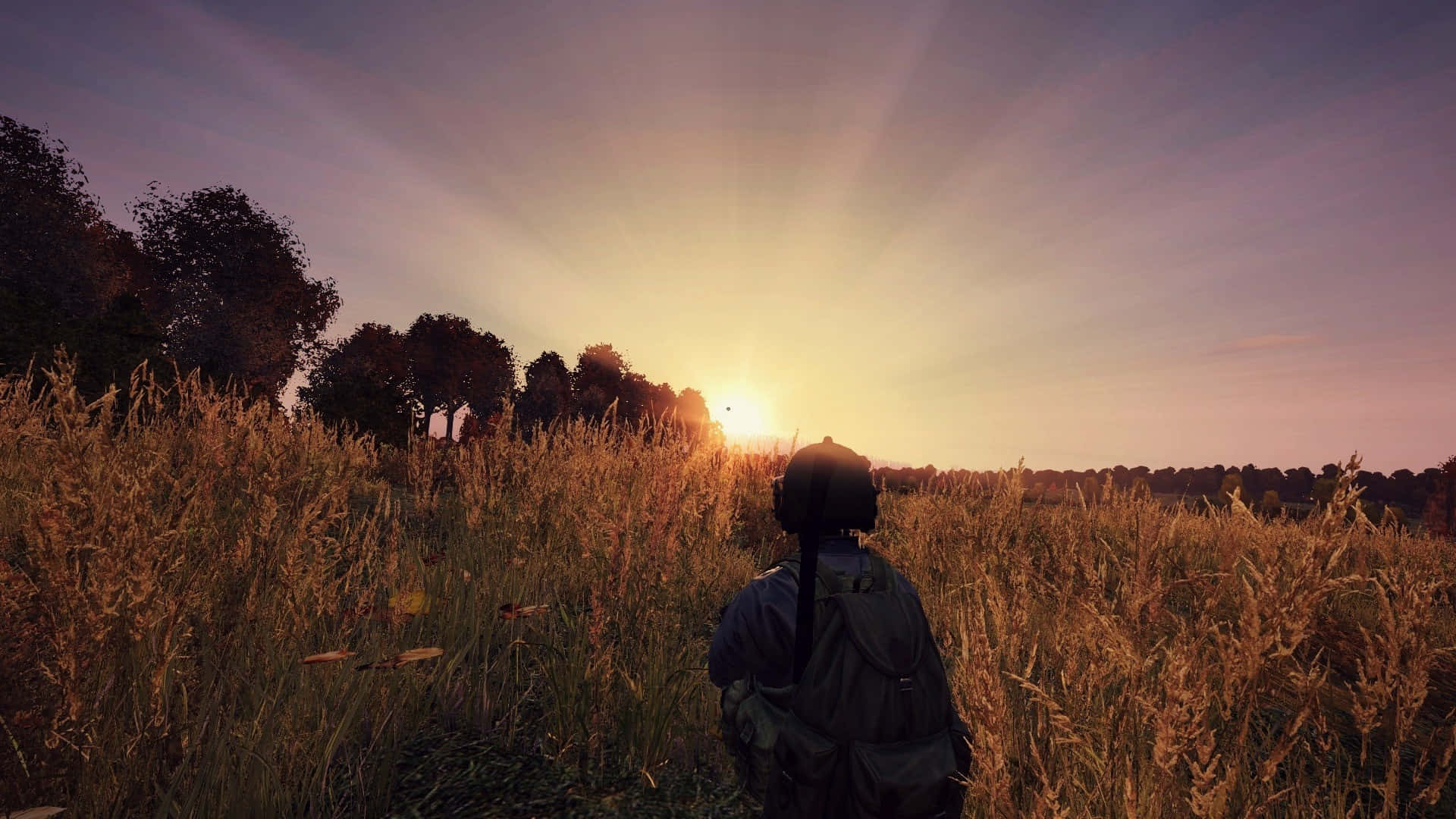 1080p DayZ背景：人物置身麥田 壁紙 — 一個孤獨的旅行者揹著背包，站在高高的金色草叢中，看著夕陽在一排樹後落下。