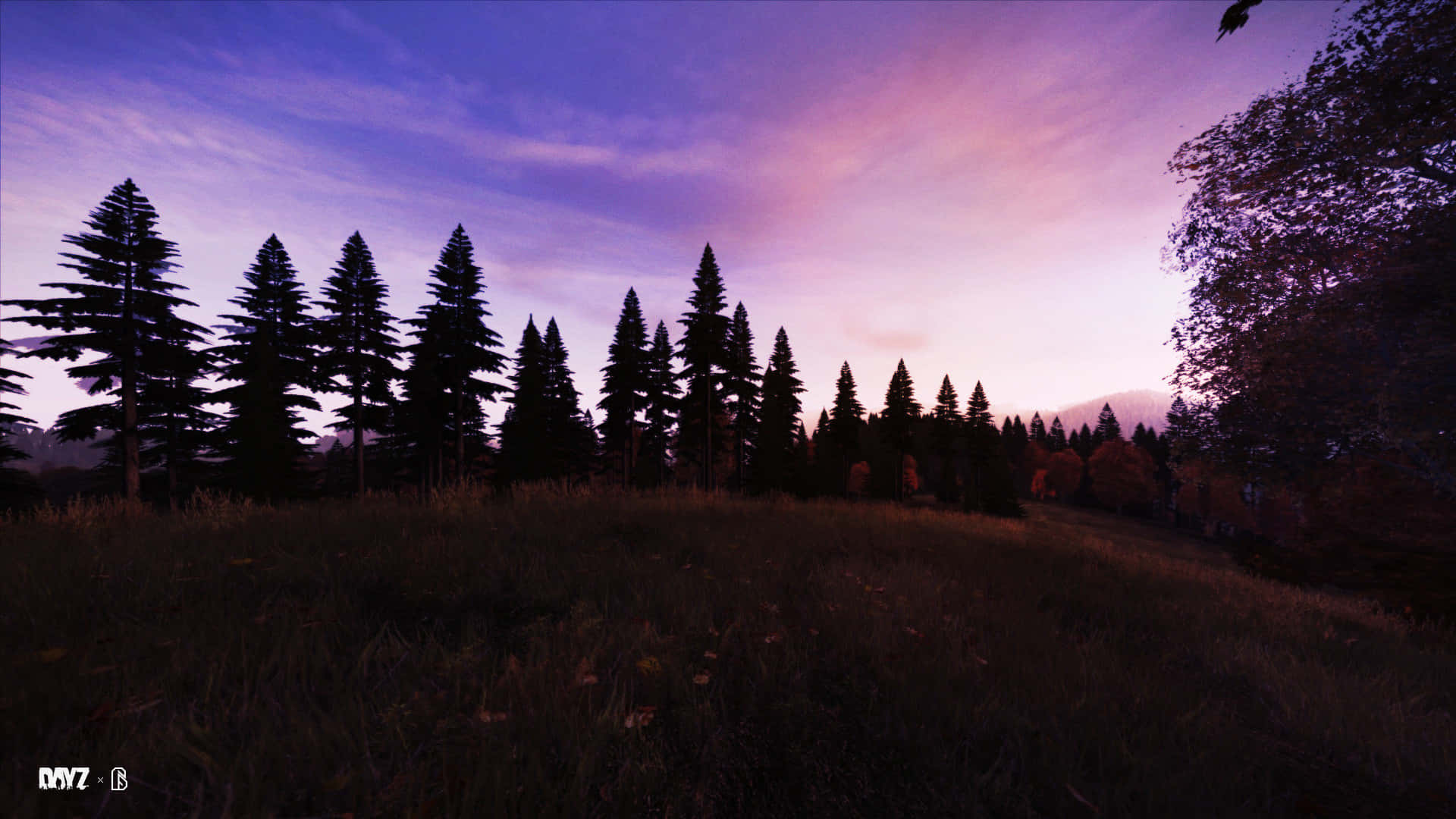 1080p DayZ背景：日落風景 壁紙 — 剪影的松樹聳立在充滿活力的紫色和粉紅色暮色天空下，背景是草地。