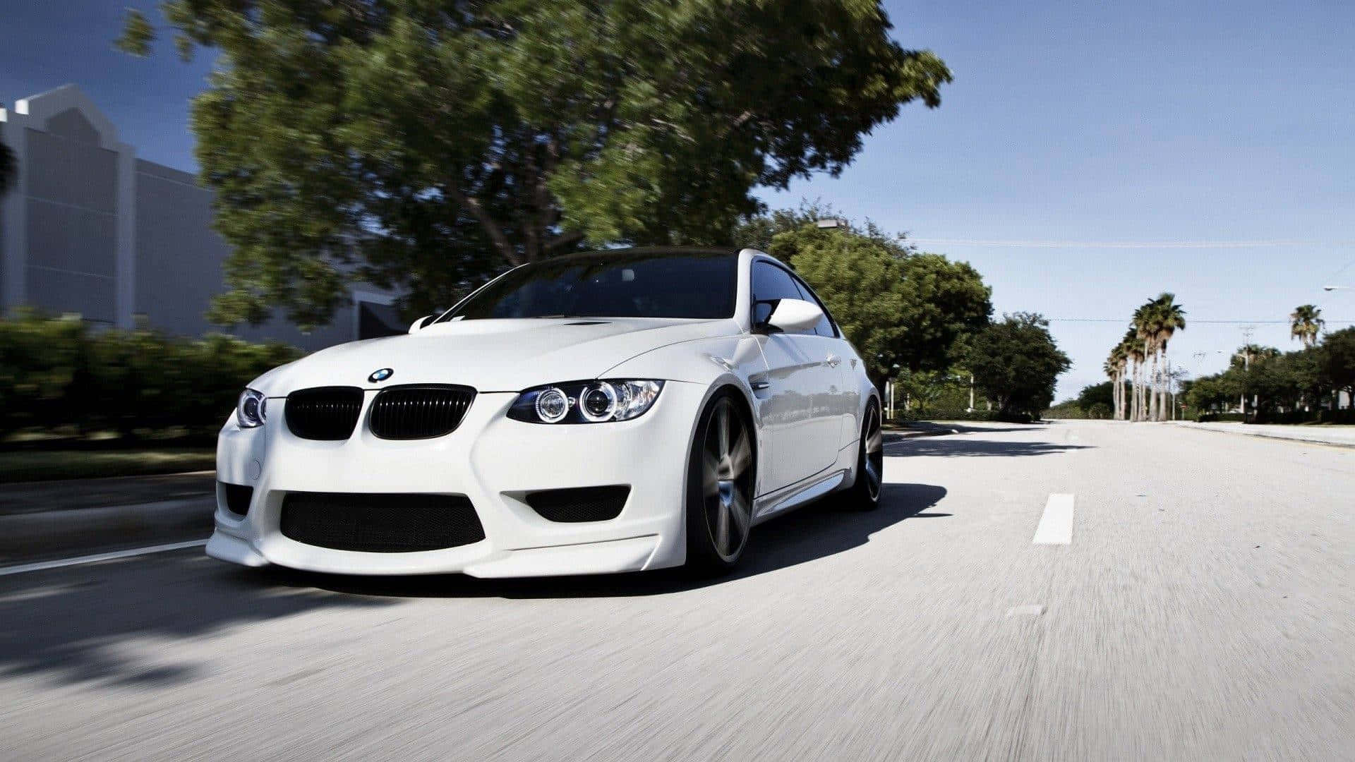 1080p M系列背景：純白BMW M3 GT2 (E92) 壁紙 — 一輛白色BMW M3跑車在陽光明媚的林蔭大道上飛馳，人行道上呈現動態模糊效果。