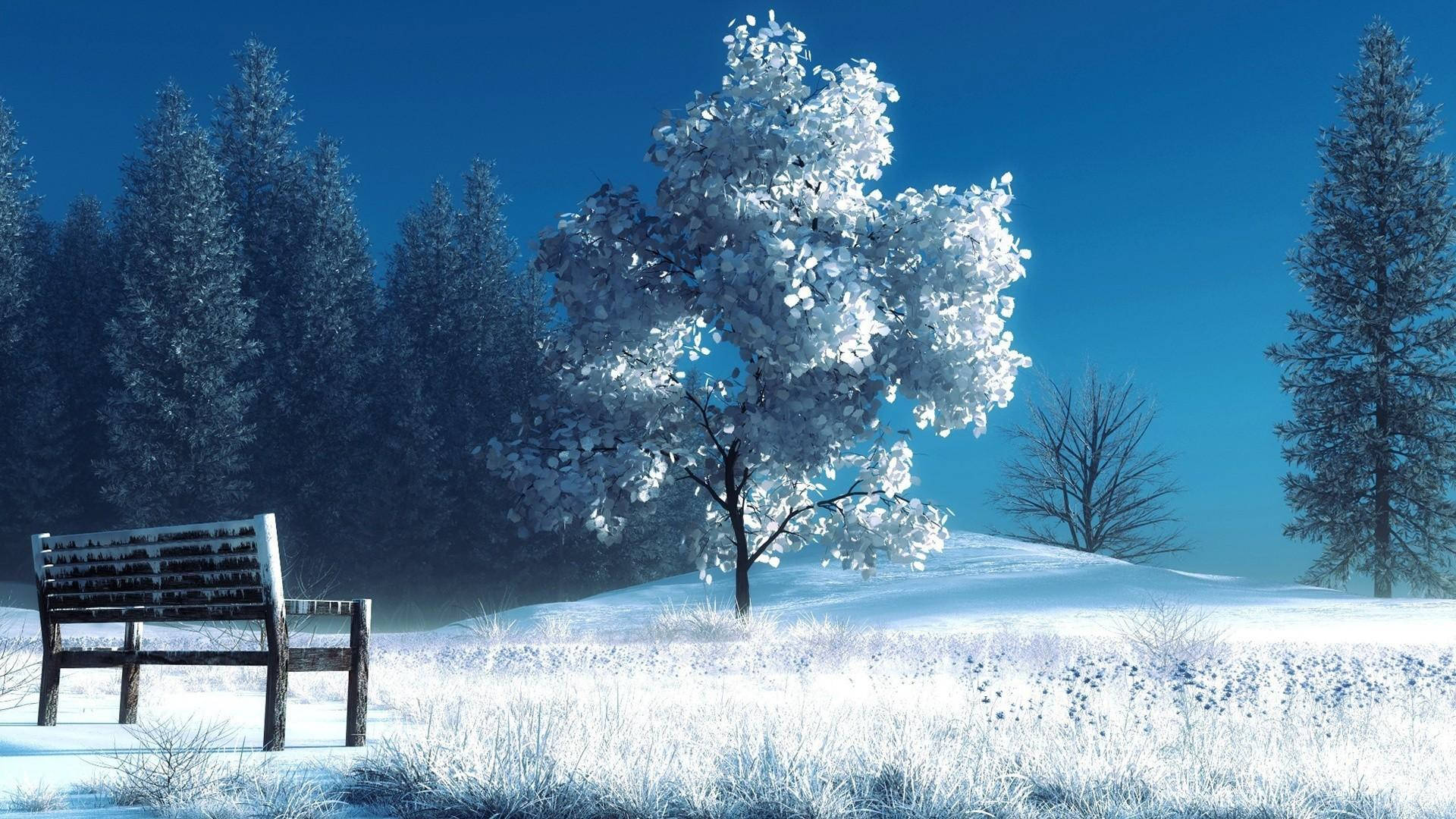 1080p高清冬季長椅與樹木 壁紙 — 一張孤獨的雪覆長椅面向結霜的樹木，在清澈湛藍的冬日天空下。