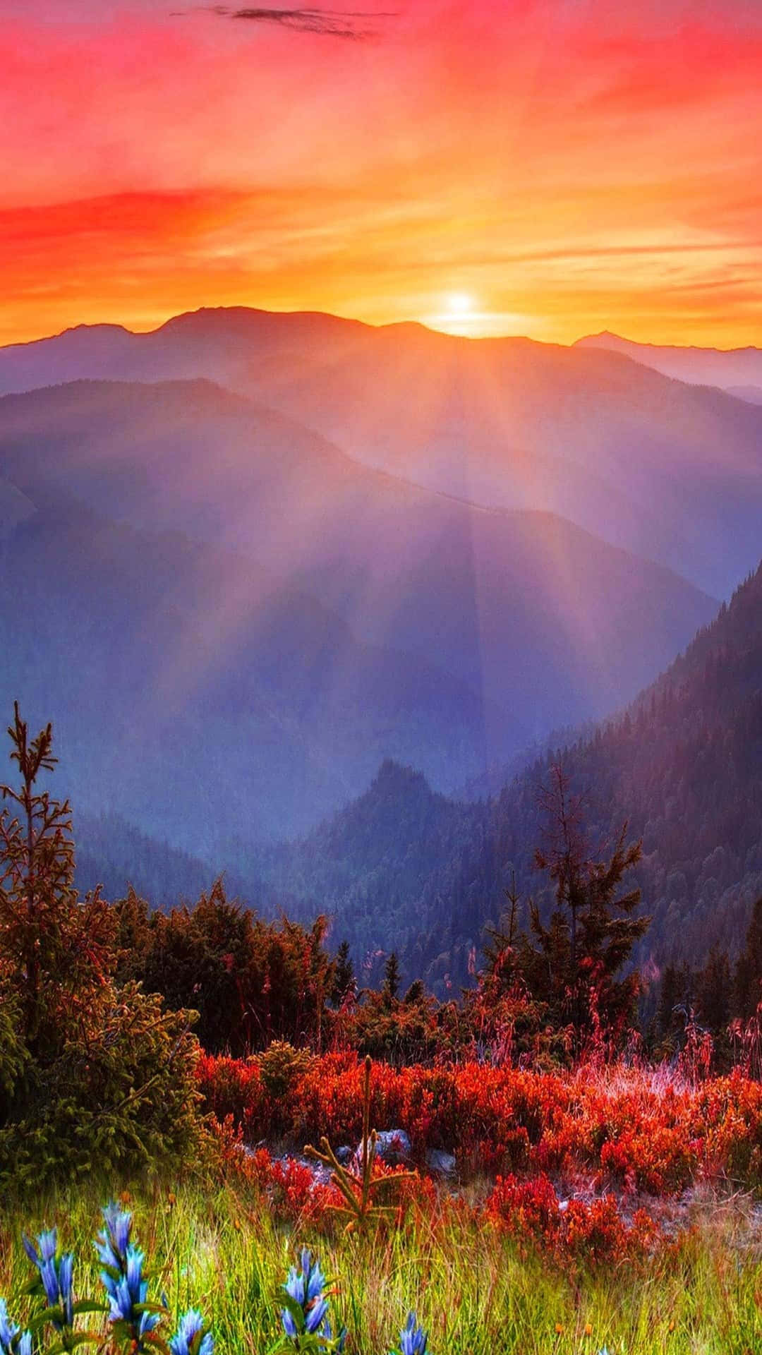 日出山景 壁紙 — 夕陽將山頂染成火熱的橙色，光線穿透森林山谷上方的薄霧，山谷中有紅色樹葉和藍色野花。