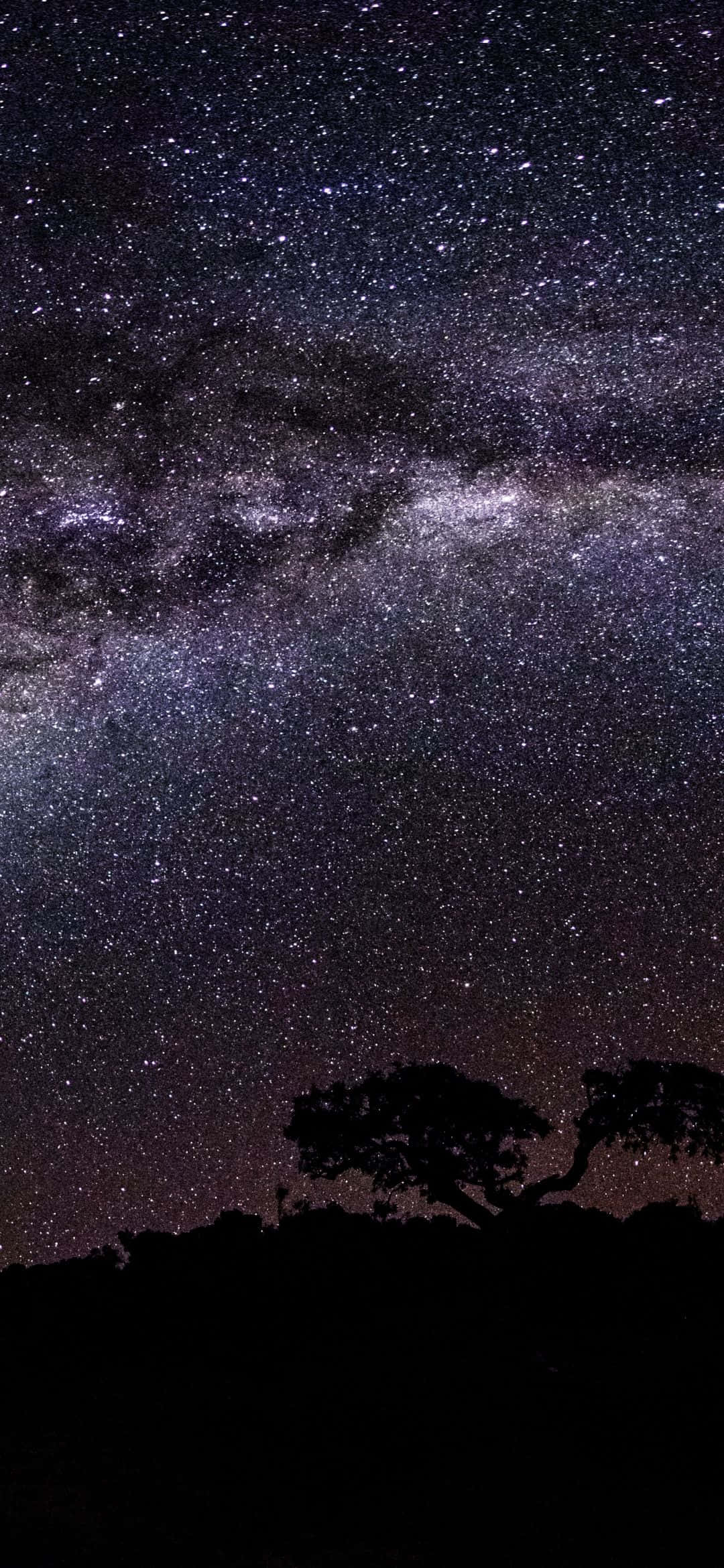 銀河夜空 1080x2340 4K 數位藝術 壁紙 — 一棵孤獨的樹的剪影矗立在令人嘆為觀止的星空下，銀河在天空中閃耀。