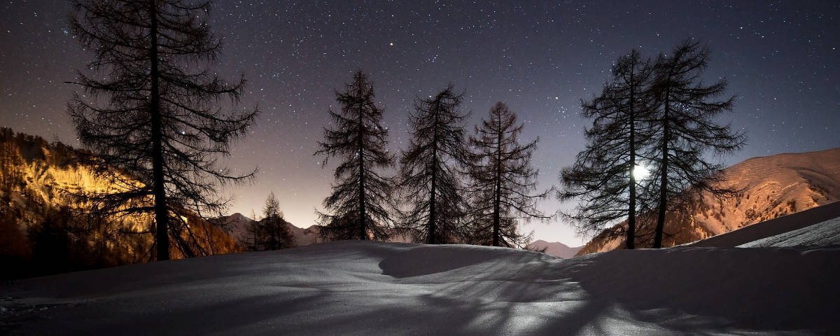 1200x480乾枯松樹壁紙 壁紙 — 夜晚被雪覆蓋的山脊，襯托著星空和發光的月光下的樹木剪影。