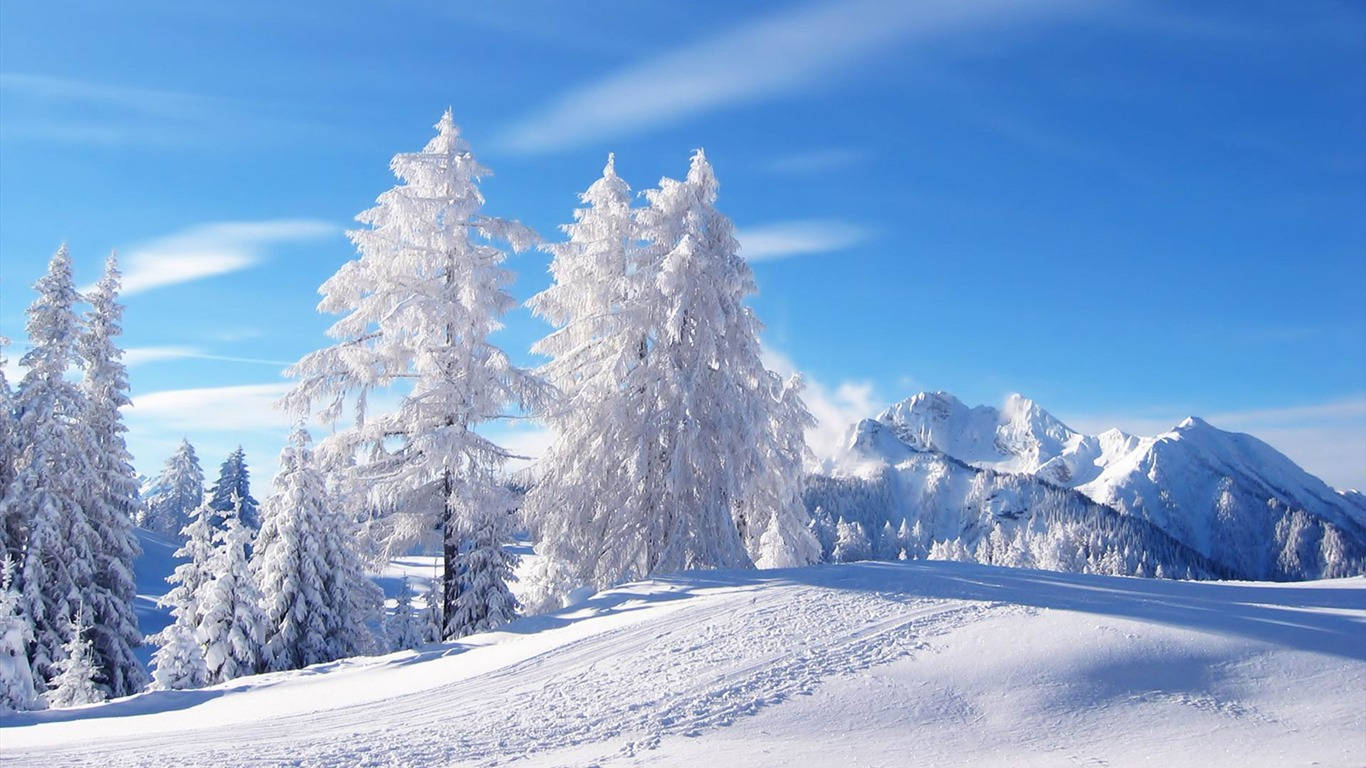 白雪覆蓋的松樹和山脈，在晴朗的藍天下