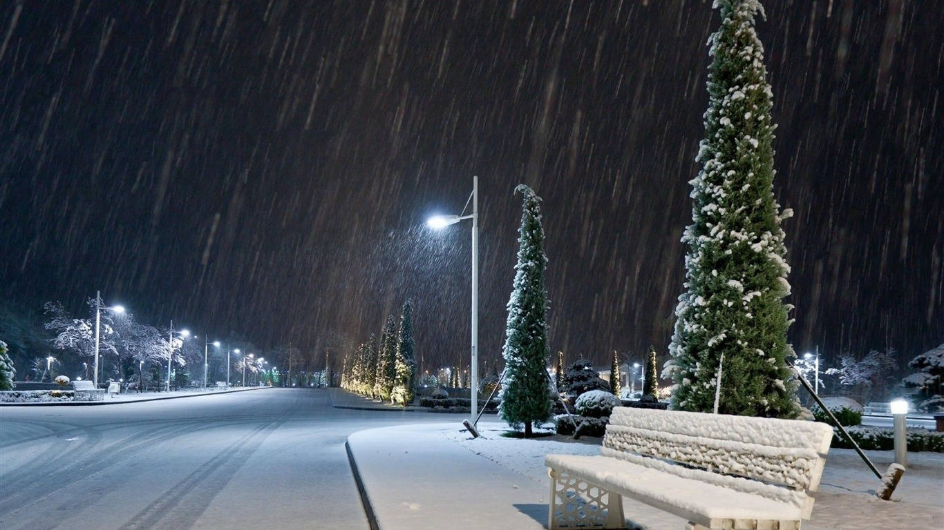 積雪的長椅旁邊是燈火通明的樹木，在一個雪夜的街道上。