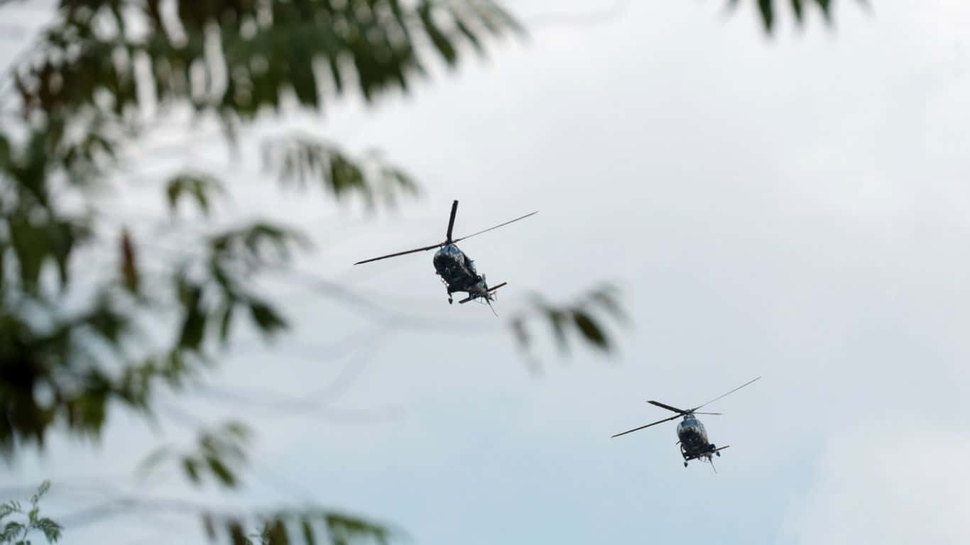 1366x768 直升機翱翔天際 壁紙 — 兩架軍用直升機以編隊飛行，背景是陰天，並以失焦的樹枝作為框架。
