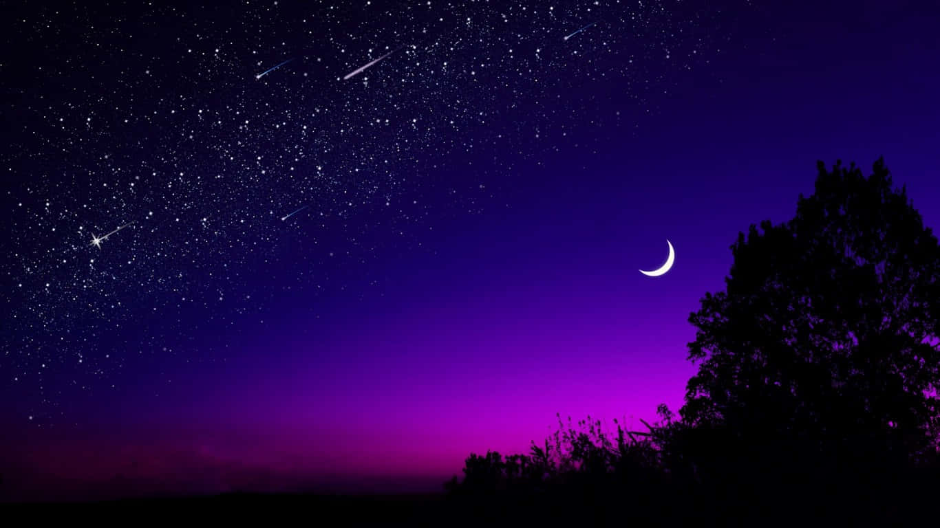 1366x768顯示器專用的繽紛風景畫 壁紙 — 一個充滿星星和流星嘅紫色夜空，上面有新月嘅剪影樹。