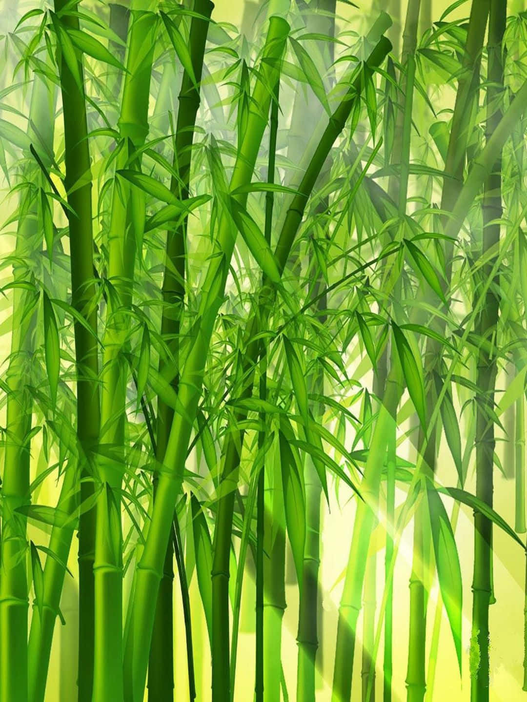 高大的綠色竹莖，陽光穿過霧氣森林