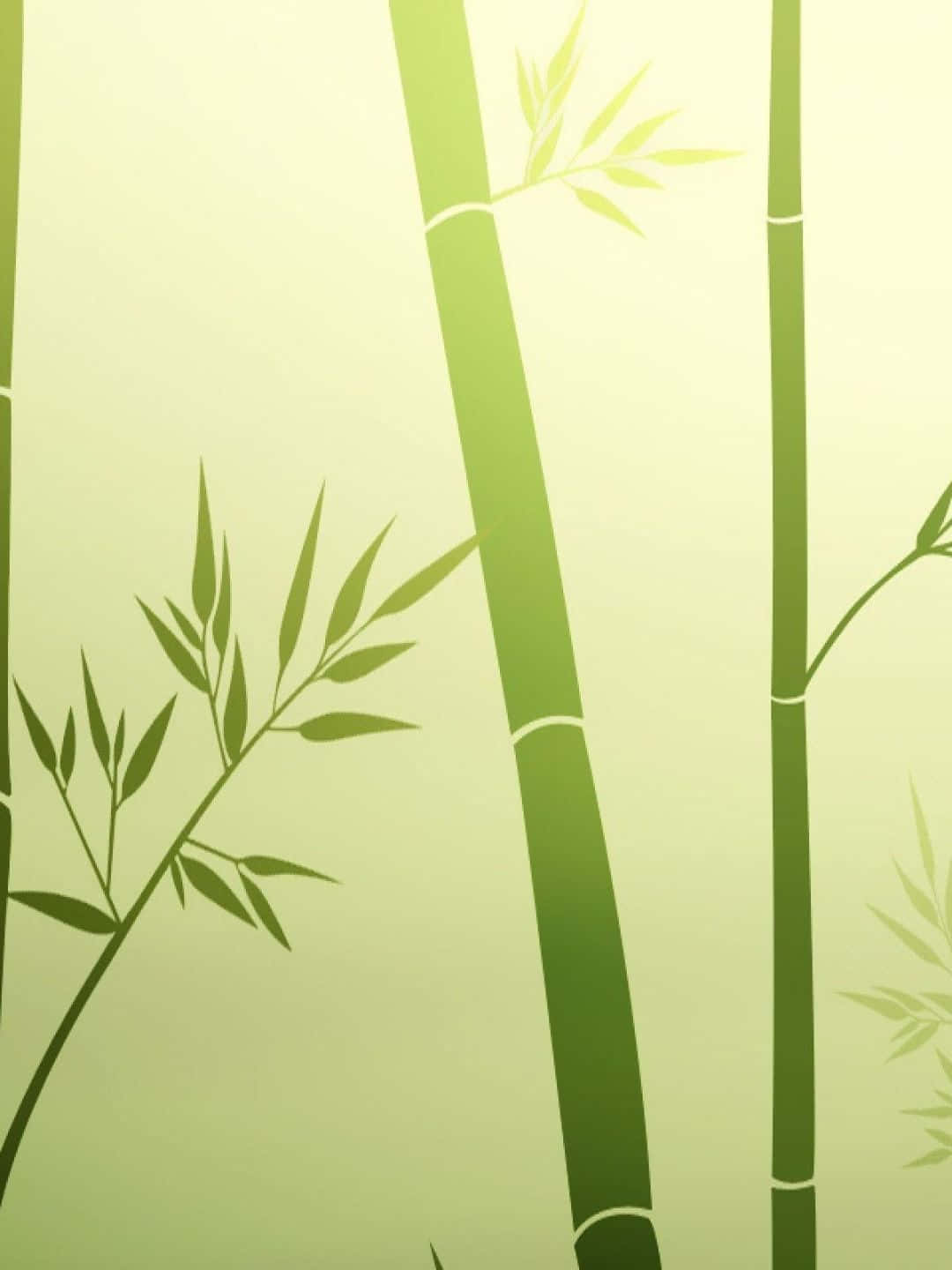 柔和綠色漸變背景的極簡竹子插圖。