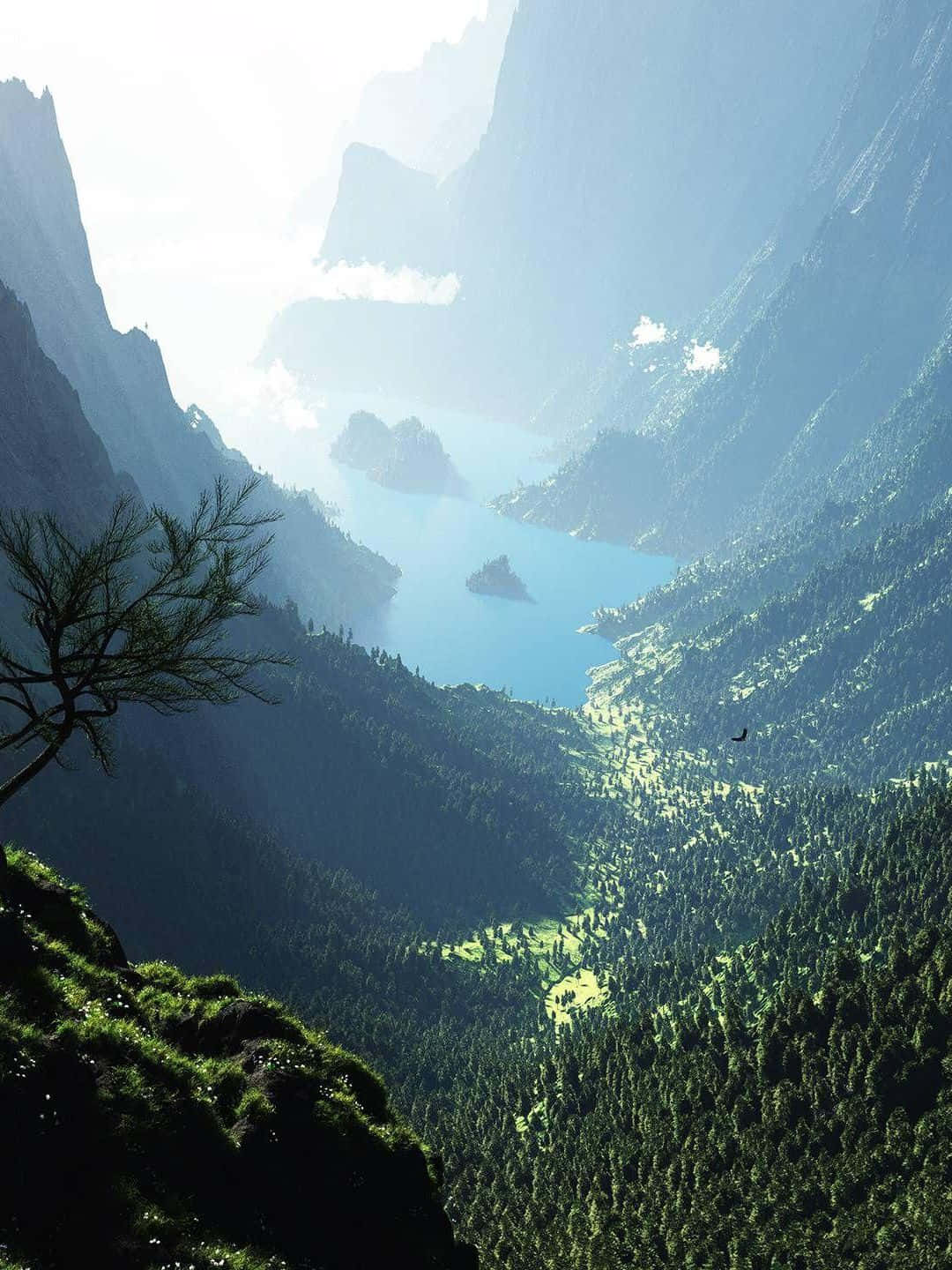 1440p 自然背景：綠色山林與薄霧水景 壁紙 — 令人嘆為觀止的鳥瞰圖，深藍色的高山湖泊坐落在高聳的綠色山脈之間，山頂雲霧繚繞，懸崖邊緣有一棵孤樹。
