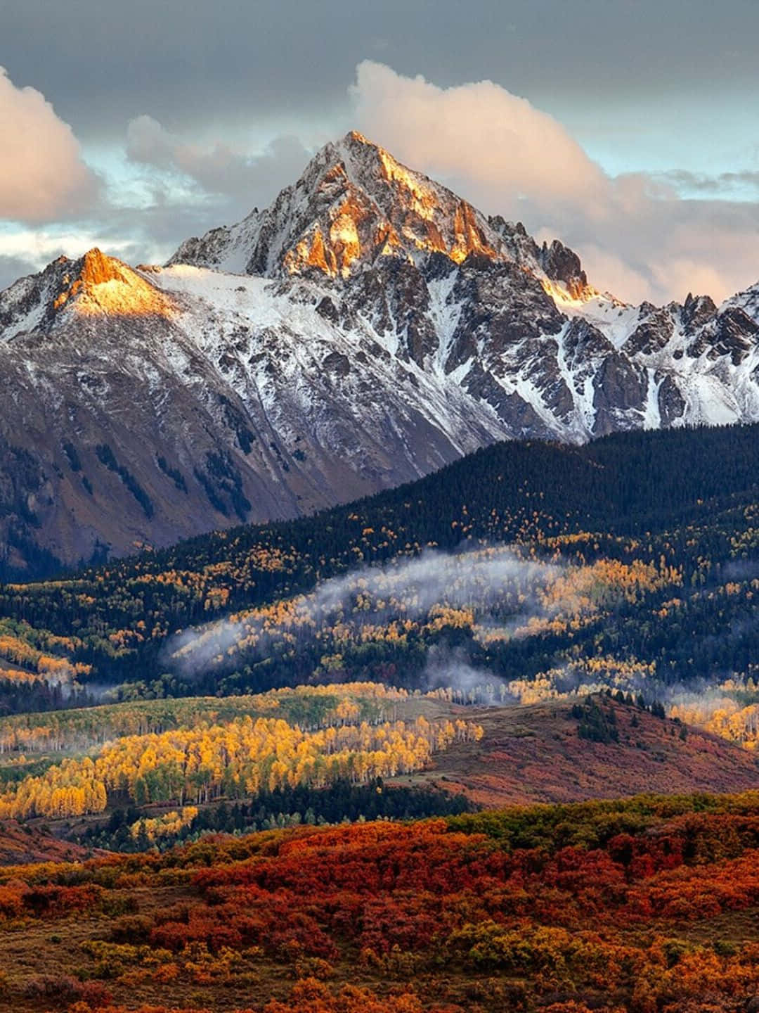 1440p 自然背景：落基山脈 壁紙 — 積雪的山峰在日落時閃耀著金色光芒，下方是秋日紅黃相間的森林。