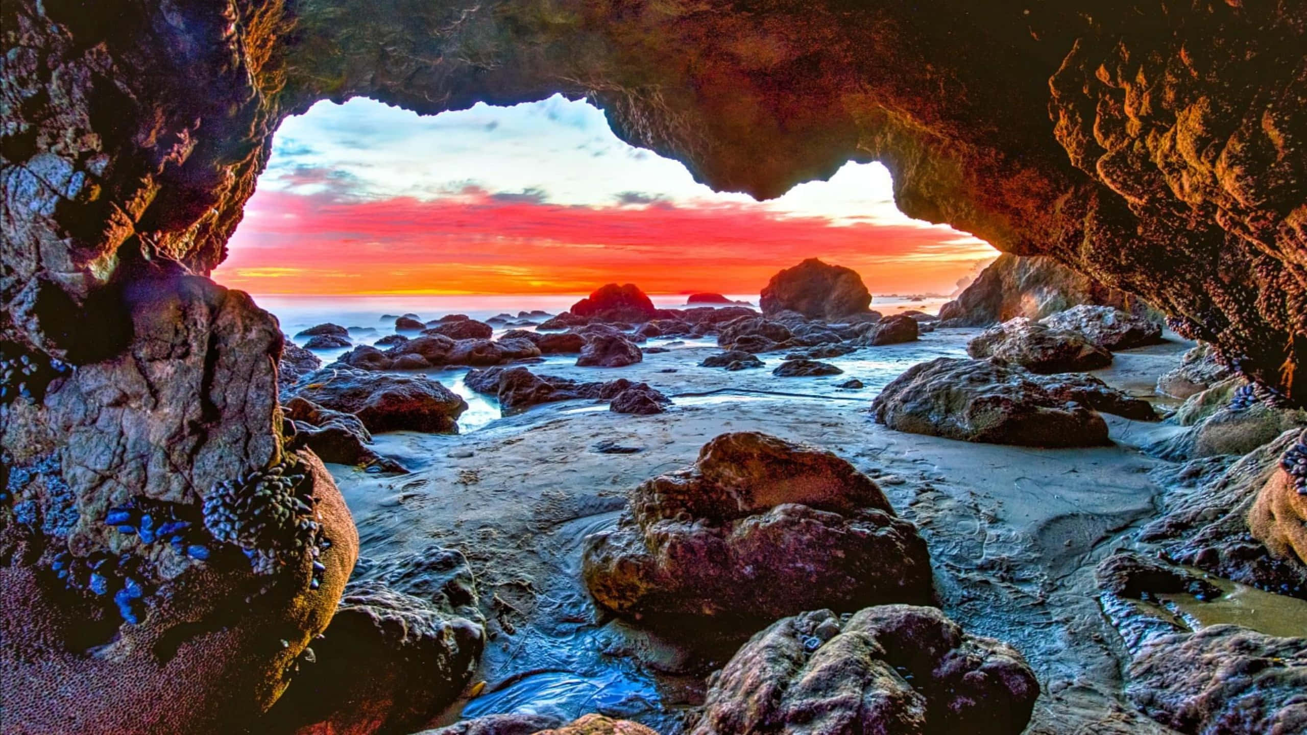1440p 馬利布海灘洞穴背景 壁紙 — 透過岩石海灘上的天然岩石拱門看到的充滿活力的日落，天空呈現出橙色和粉紅色的光芒。
