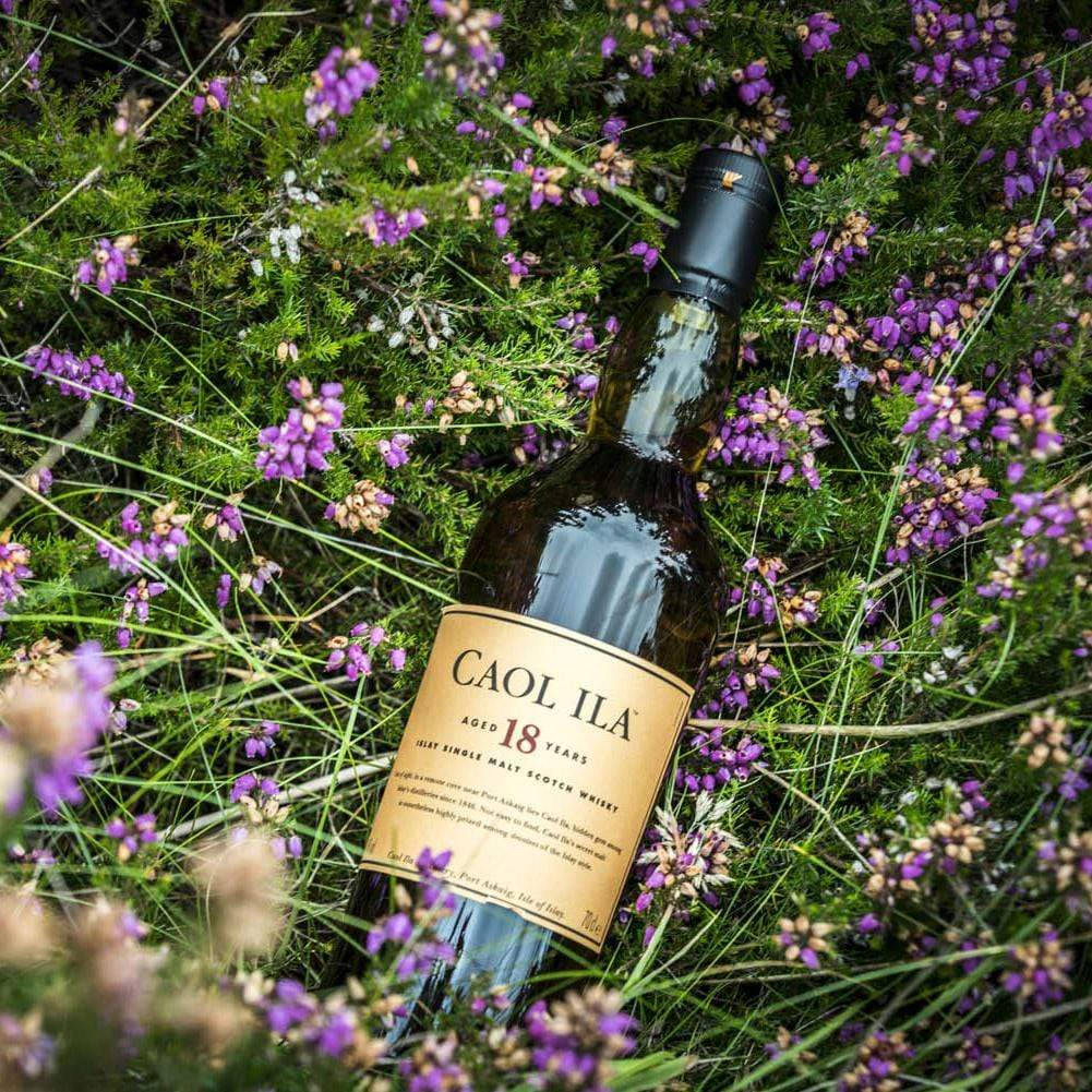 一瓶 Caol Ila 18 年威士忌，藏在紫色石楠花和綠草中。