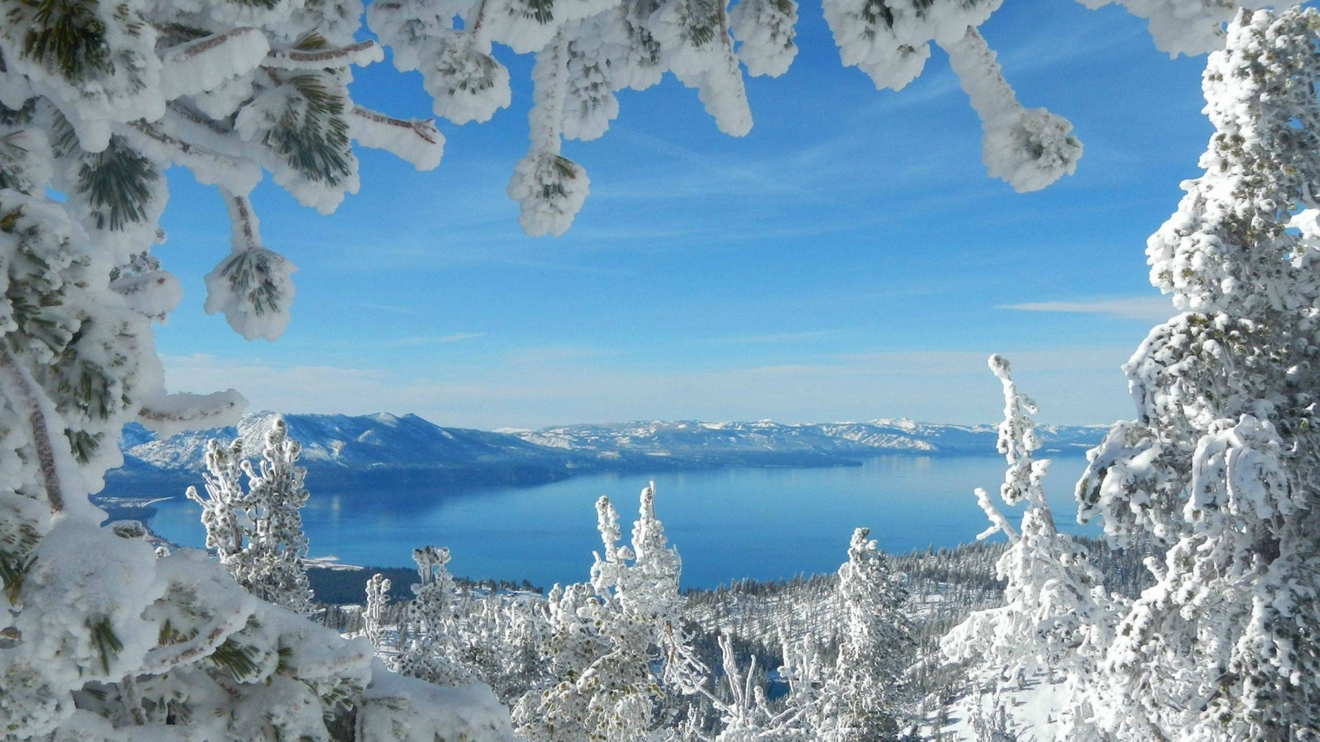 震撼 1920x1080 冬季桌面 壁紙 — 掛滿雪的松樹枝條框出一個令人嘆為觀止的景色：廣闊的藍色湖泊，四周環繞著白雪覆蓋的山脈，天空晴朗。