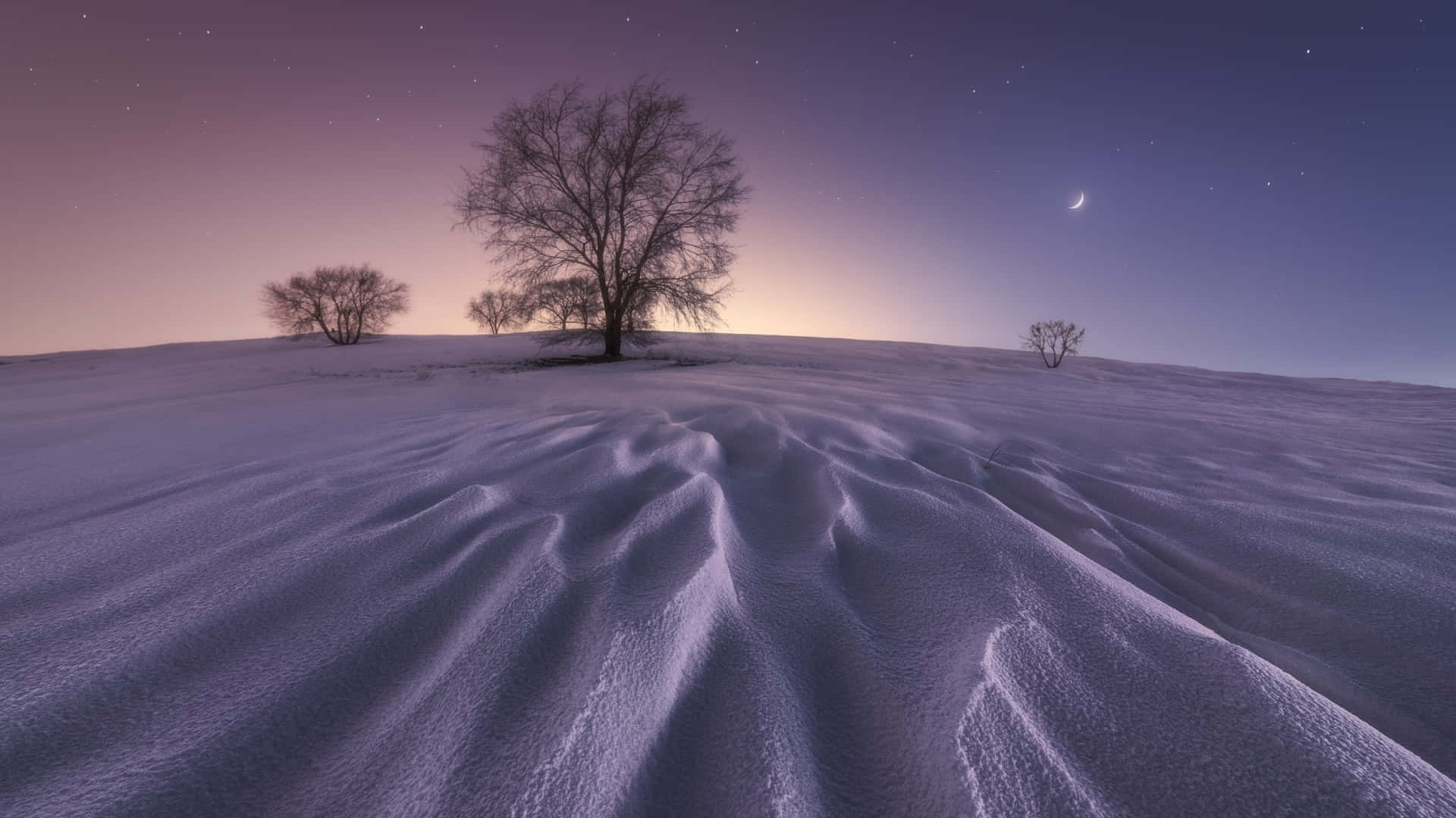 1920x1080 冬日仙境 壁紙 — 一棵孤獨的雪樹矗立在風吹的山丘上，背景是星空的暮色天空和一彎新月。