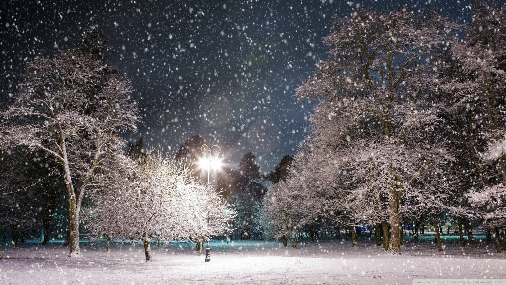 夜晚公園中街燈照亮下雪的情景。