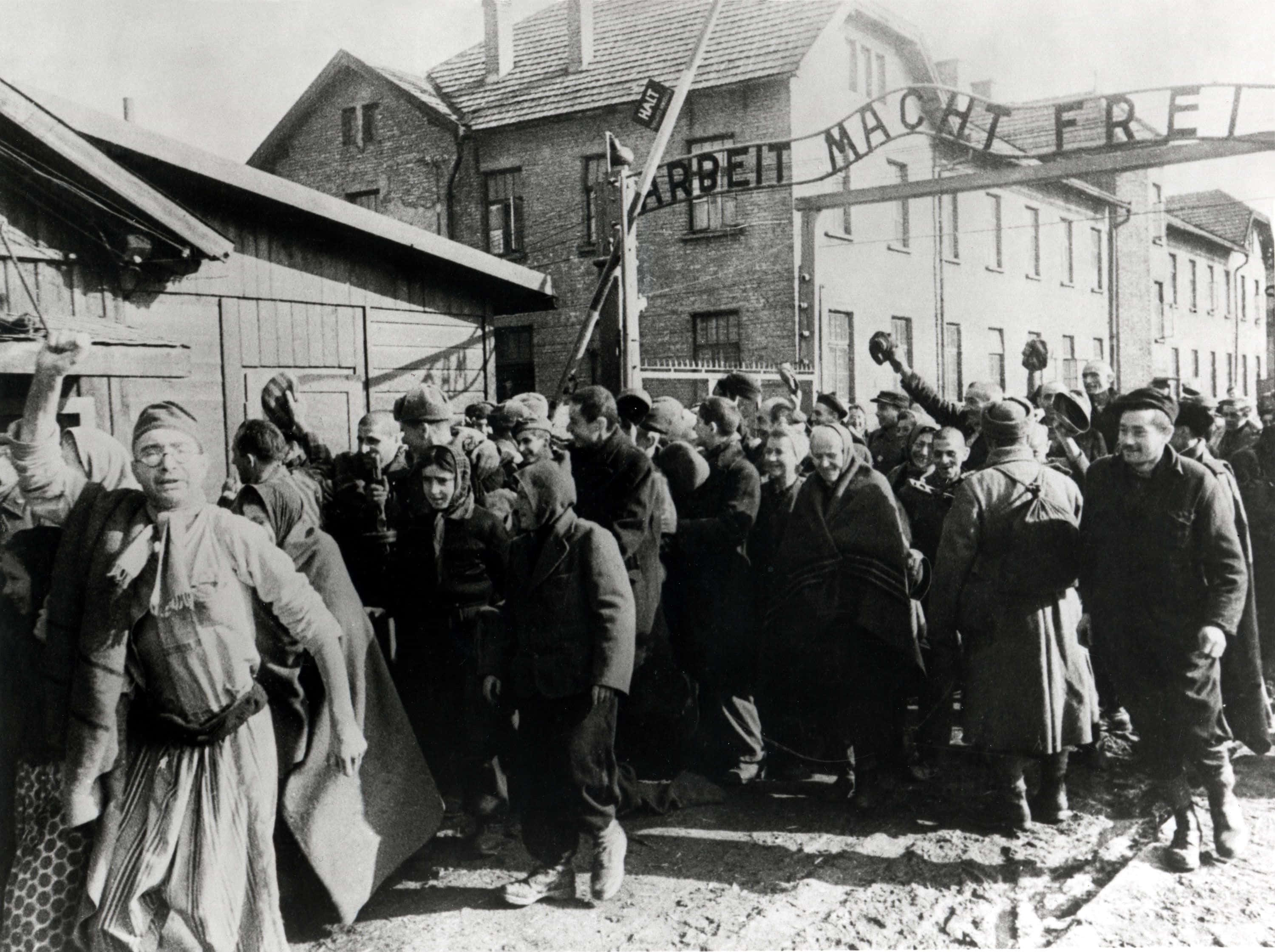 1945年奧斯威辛-比克瑙解放時刻 壁紙 — 一群被解放的囚犯在集中營臭名昭著的「Arbeit Macht Frei」大門前歡欣鼓舞地舉起拳頭。
