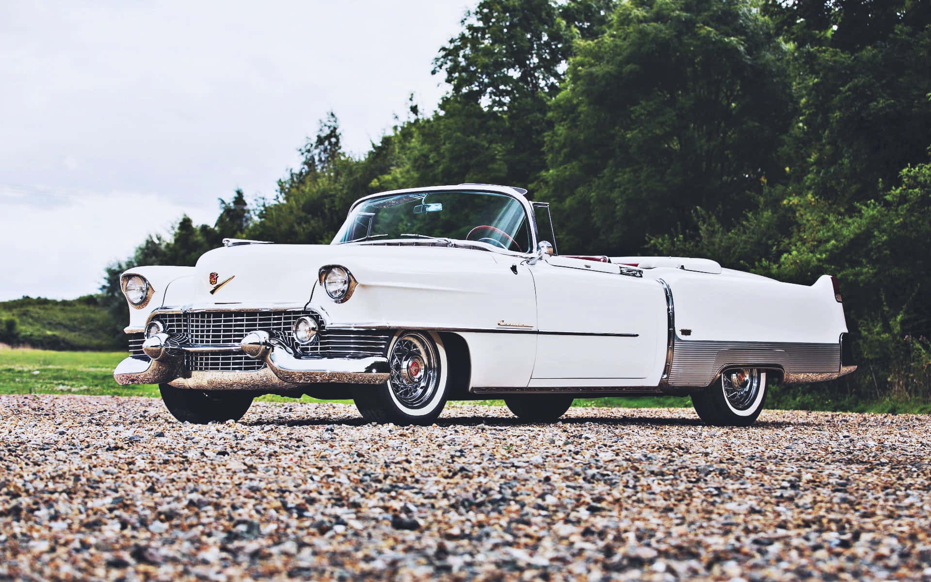 Cadillac Eldorado 桌布 壁紙 — 一輛1950年代純白色凱迪拉克敞篷車在陰天下的碎石路上閃閃發光，周圍環繞著茂密的綠樹。