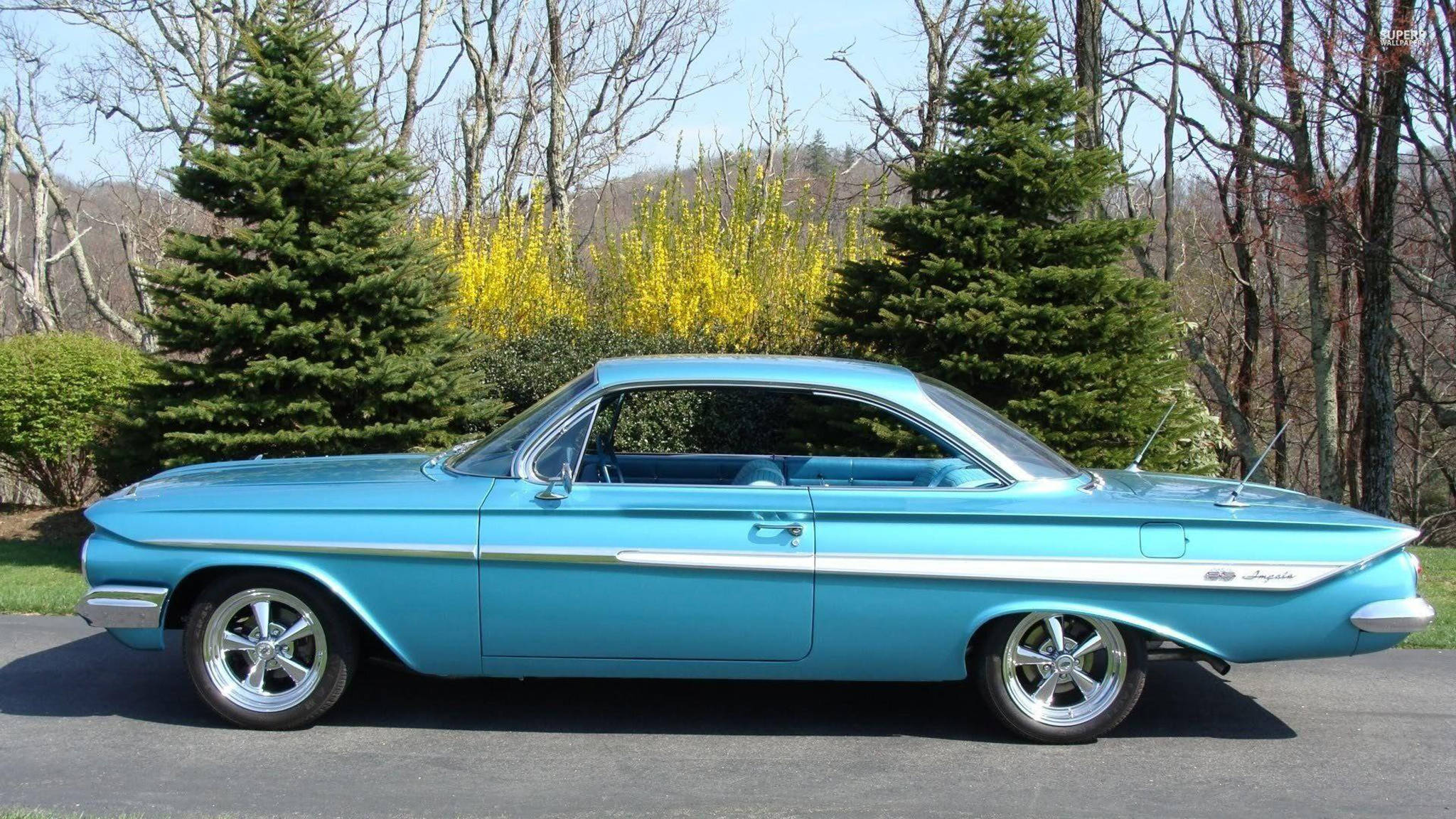 1967 年霓虹藍雪佛蘭 Impala 壁紙 — 一輛充滿活力的青綠色經典汽車，帶有鍍鉻細節，停在柏油路上，旁邊是常綠樹和盛開的黃色連翹。