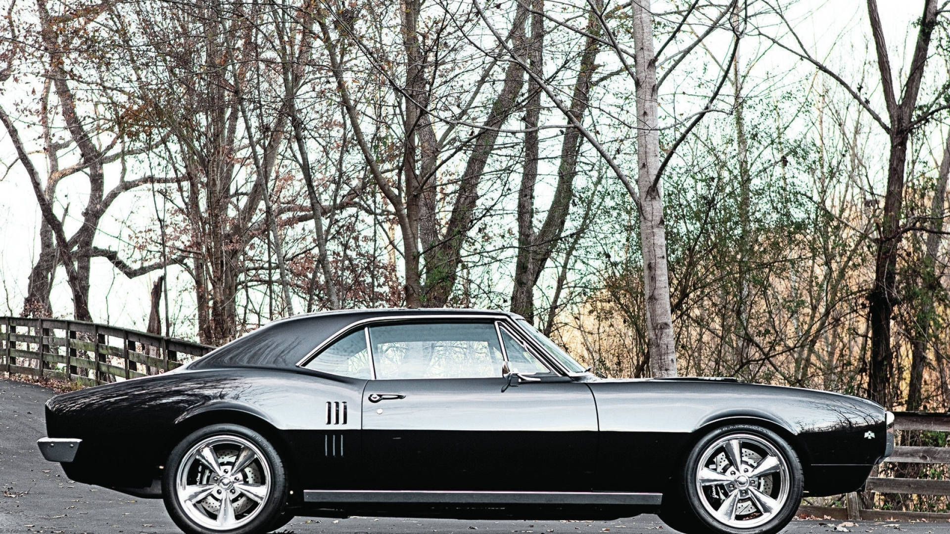 1968 黑色普利茅斯 Firebird 壁紙 — 一架時尚的黑色經典肌肉車停泊在森林道路上，背景有光禿禿的樹木和木柵欄。