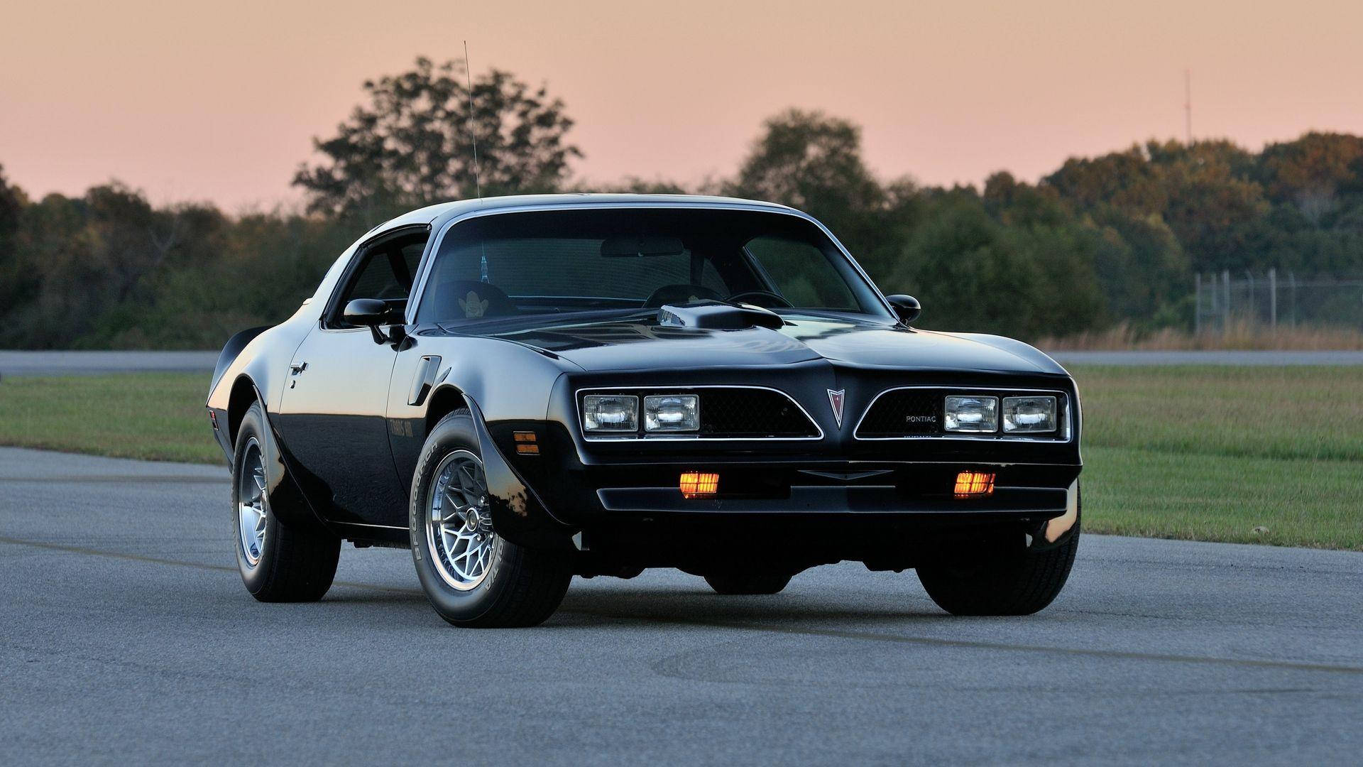 1977 年龐蒂克 Firebird 黑色款 壁紙 — 一架流線型黑色龐蒂亞克火鳥肌肉車在日落時分沿著瀝青路行駛，背景是溫暖的橙色天空和綠色樹木。