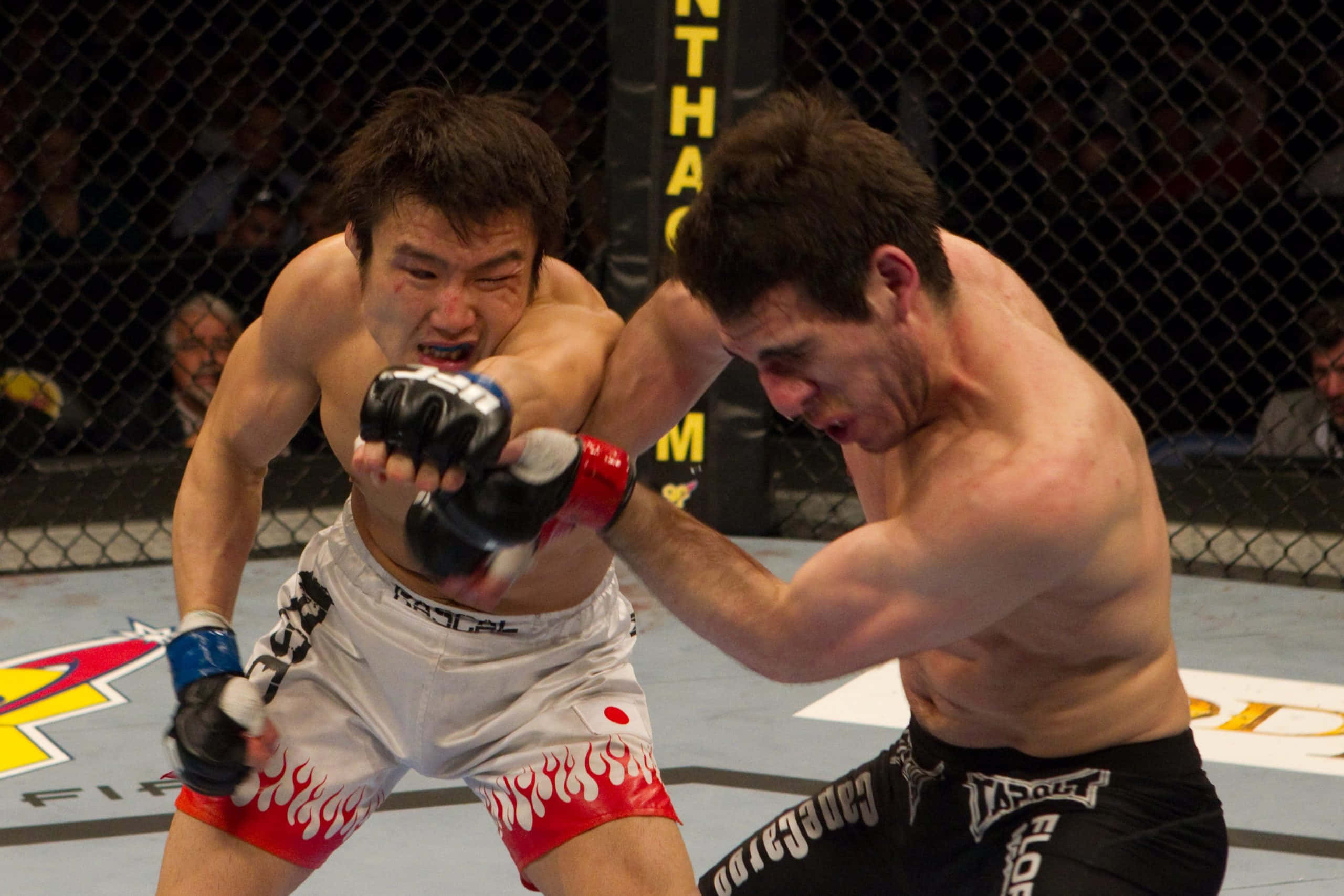 高橋孝典對戰肯尼·弗洛里安 2010年UFC首秀 壁紙 — 兩名拳手在MMA鐵籠中激烈纏鬥，滿臉鮮血，神情專注。