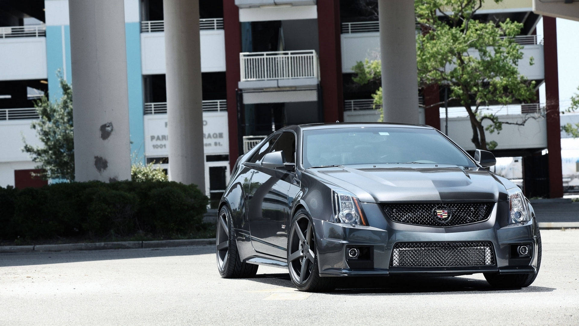 2011 年凱迪拉克 CTS-V iPhone 版 壁紙 — 一架時尚的深灰色 Cadillac CTS-V 雙門跑車停泊在現代化停車場前，周圍有綠樹和明亮的日光。