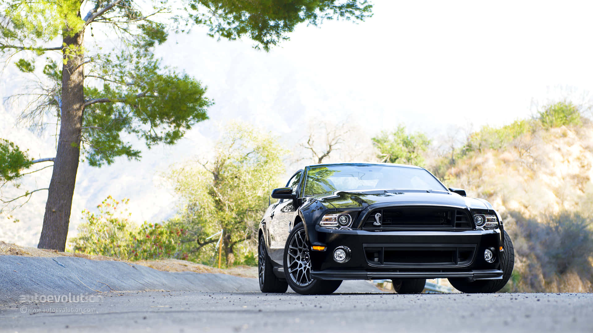 2013款Shelby GT500福特野馬車 壁紙 — 一架時尚黑色肌肉車停泊在陽光普照的碎石路上，周圍環繞著樹木和山丘。