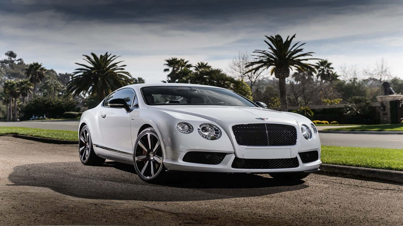 2014款白色賓利Continental GT停泊背景圖 壁紙 — 一輛純白色的賓利 Continental GT 雙門轎跑車在日光下閃閃發光，停泊在鋪砌的車道上，旁邊是修剪整齊的草坪和棕櫚樹。