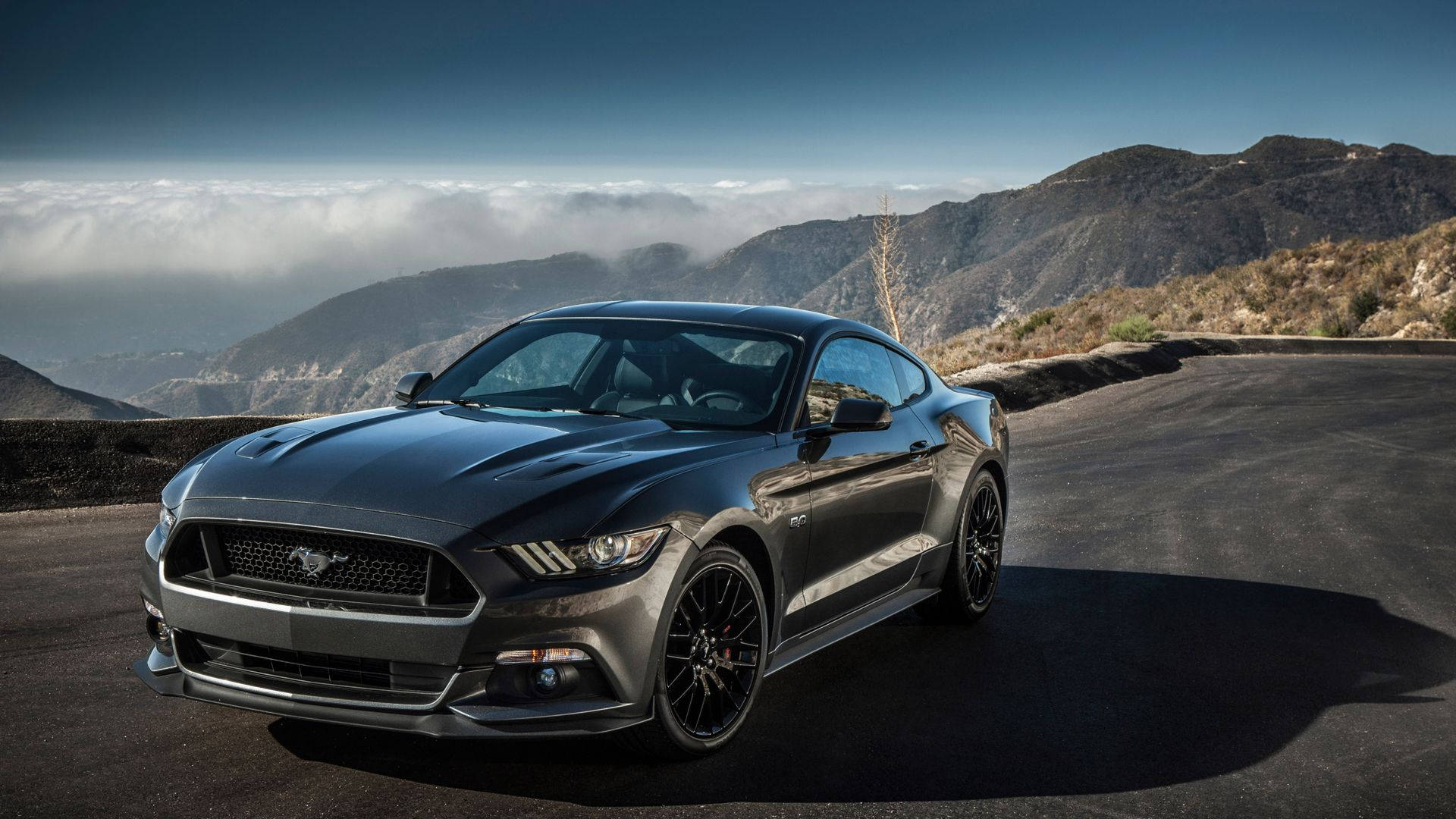 日落時分，深灰色 Mustang GT 行駛在雲端之上的山路