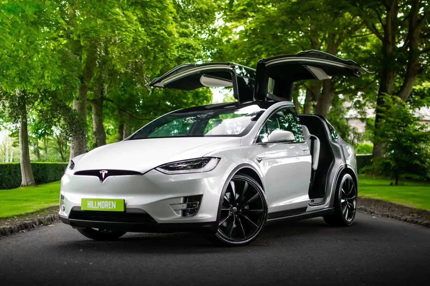 白色Tesla Model X打開車門停在綠樹成蔭的車道上。