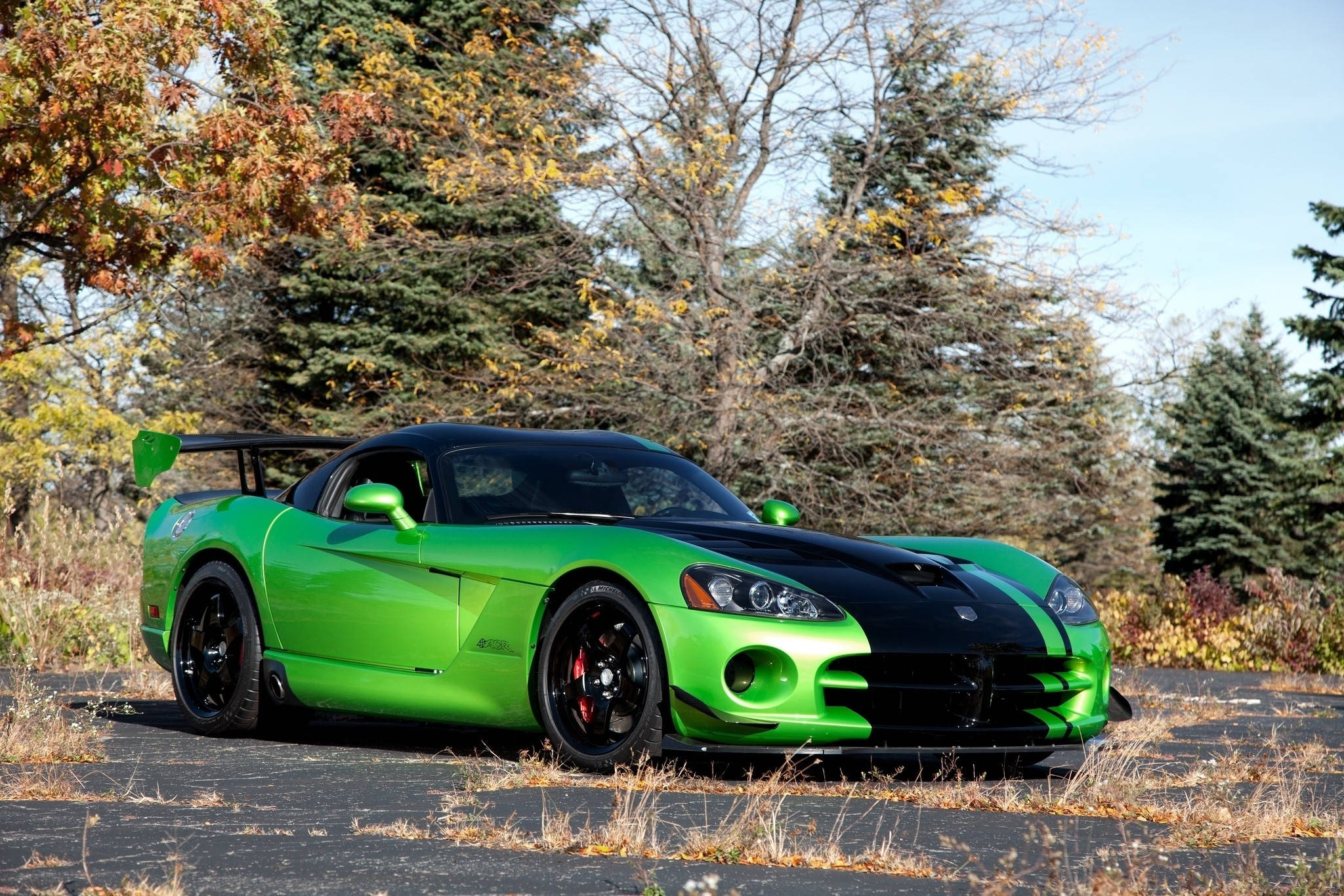 2017道奇Viper蛇皮版 壁紙 — 一輛充滿活力的綠色Dodge Viper，帶有黑色飾邊，停在柏油路上，周圍是秋天的樹木。
