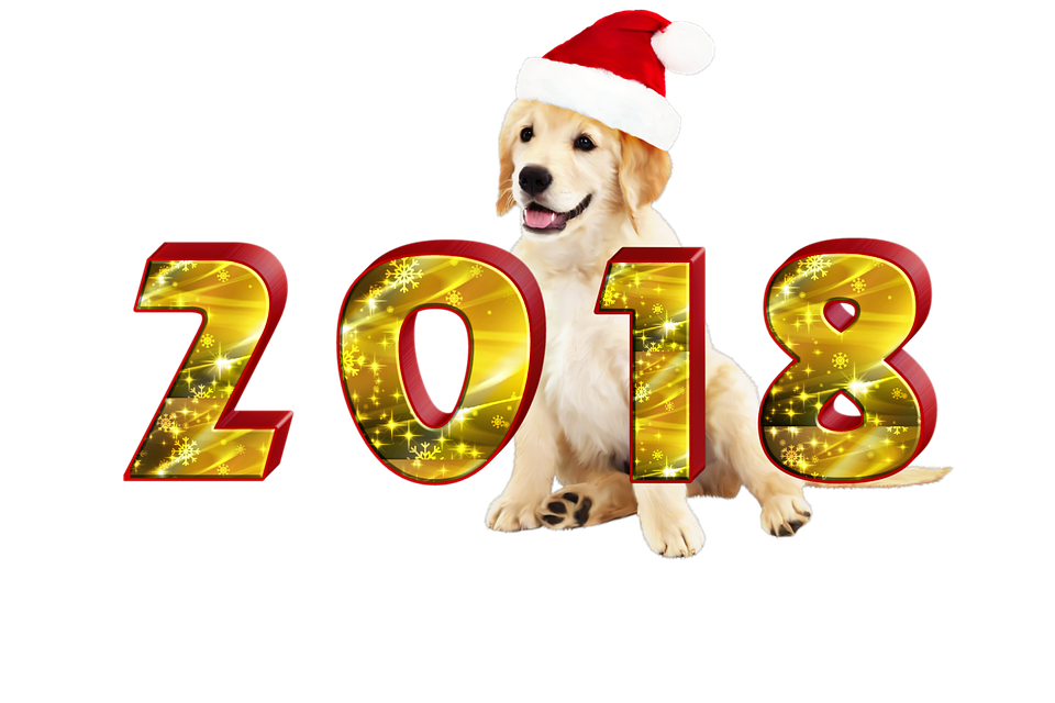 2018新年金毛尋回犬聖誕帽 壁紙