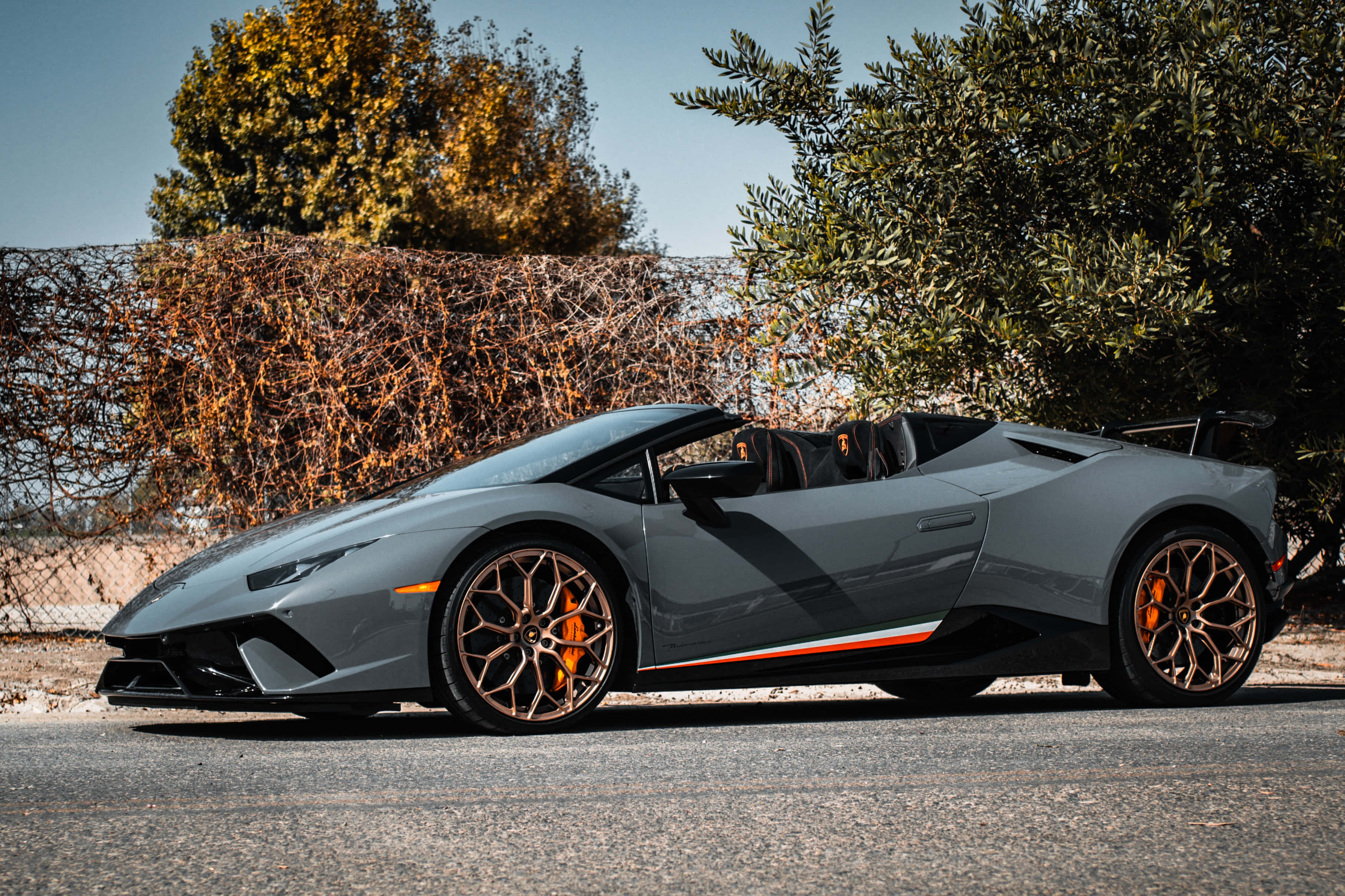 2019款蘭博基尼Huracán停在路邊 壁紙 — 一架時尚的灰色林寶堅尼 Huracán Spyder，帶有橙色制動卡鉗，停在柏油路上，旁邊是秋天的樹木，天空清澈湛藍。